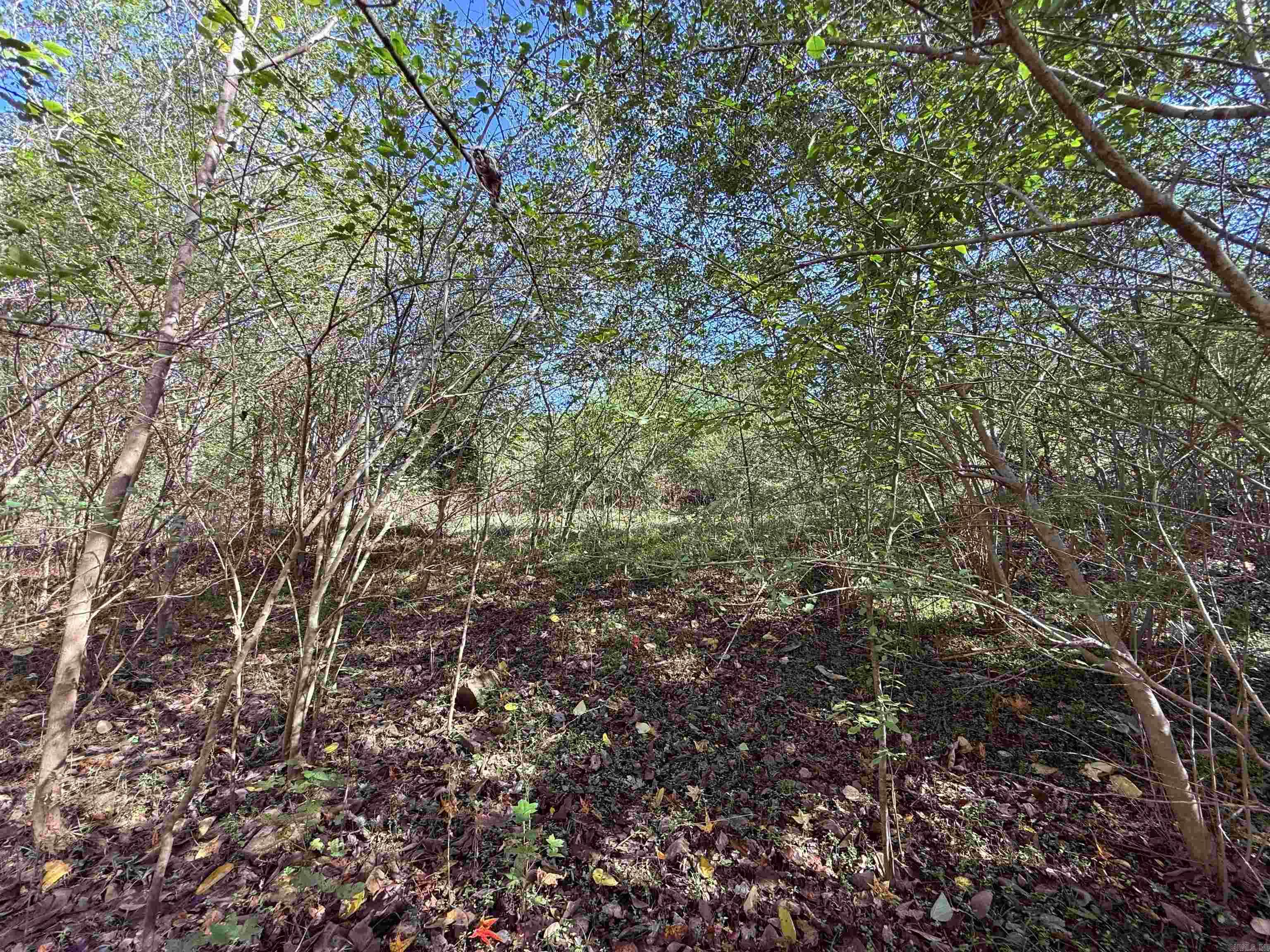 101 Indian Trail Property Photo 14