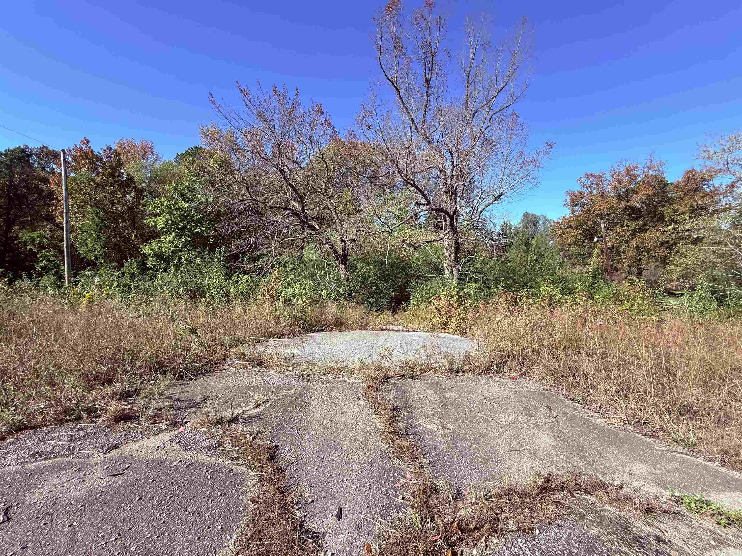 101 Indian Trail Property Photo 16