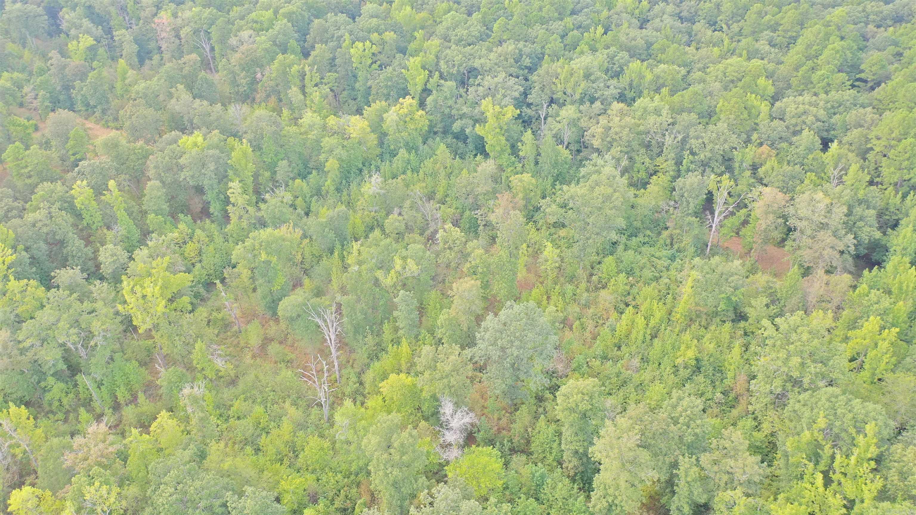 000 Kulp Road Property Photo 6