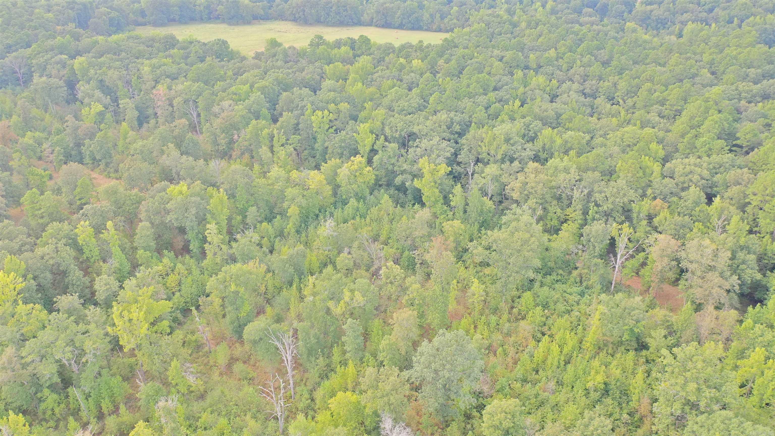 000 Kulp Road Property Photo 15