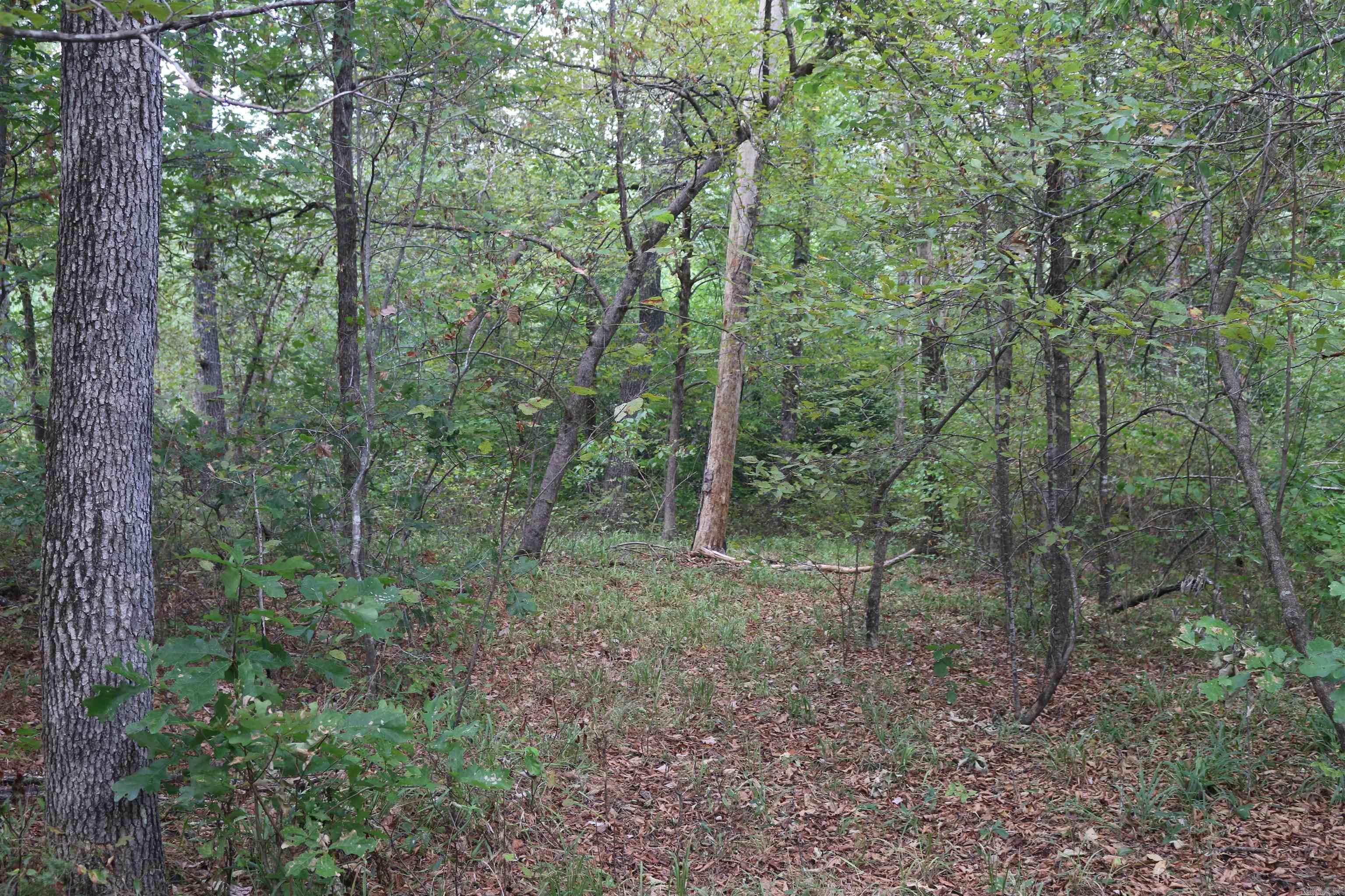 000 Kulp Road Property Photo 17