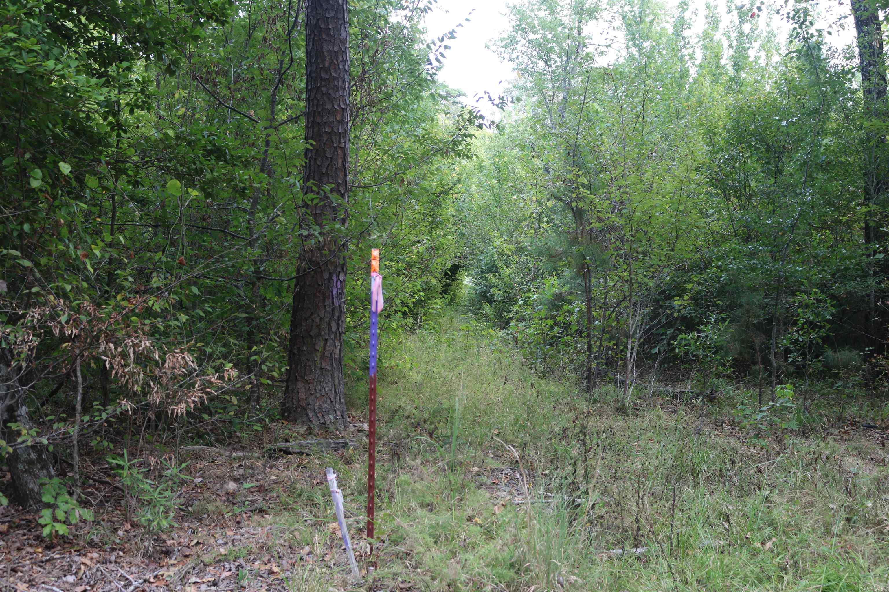 000 Kulp Road Property Photo 19