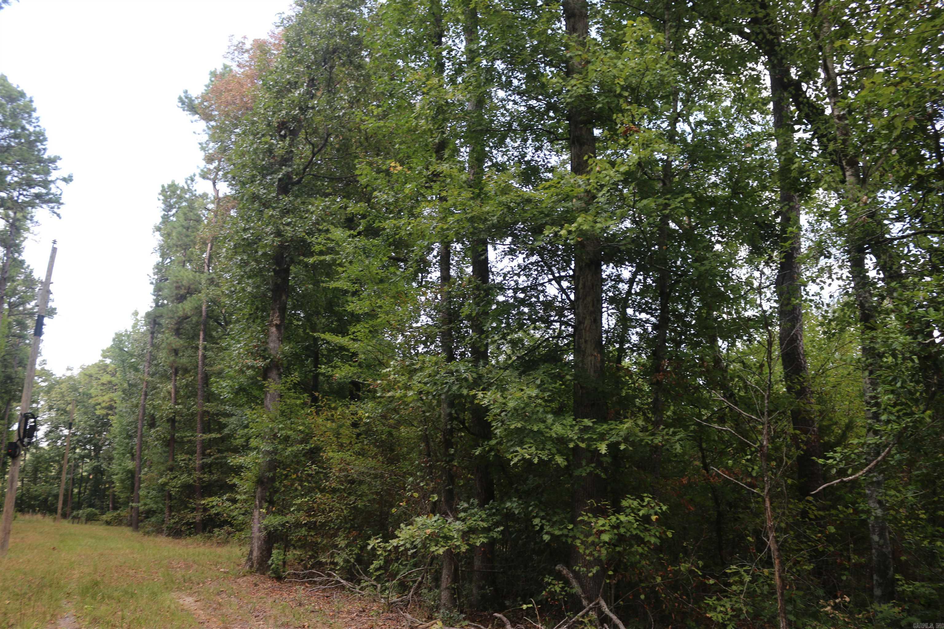 000 Kulp Road Property Photo 20
