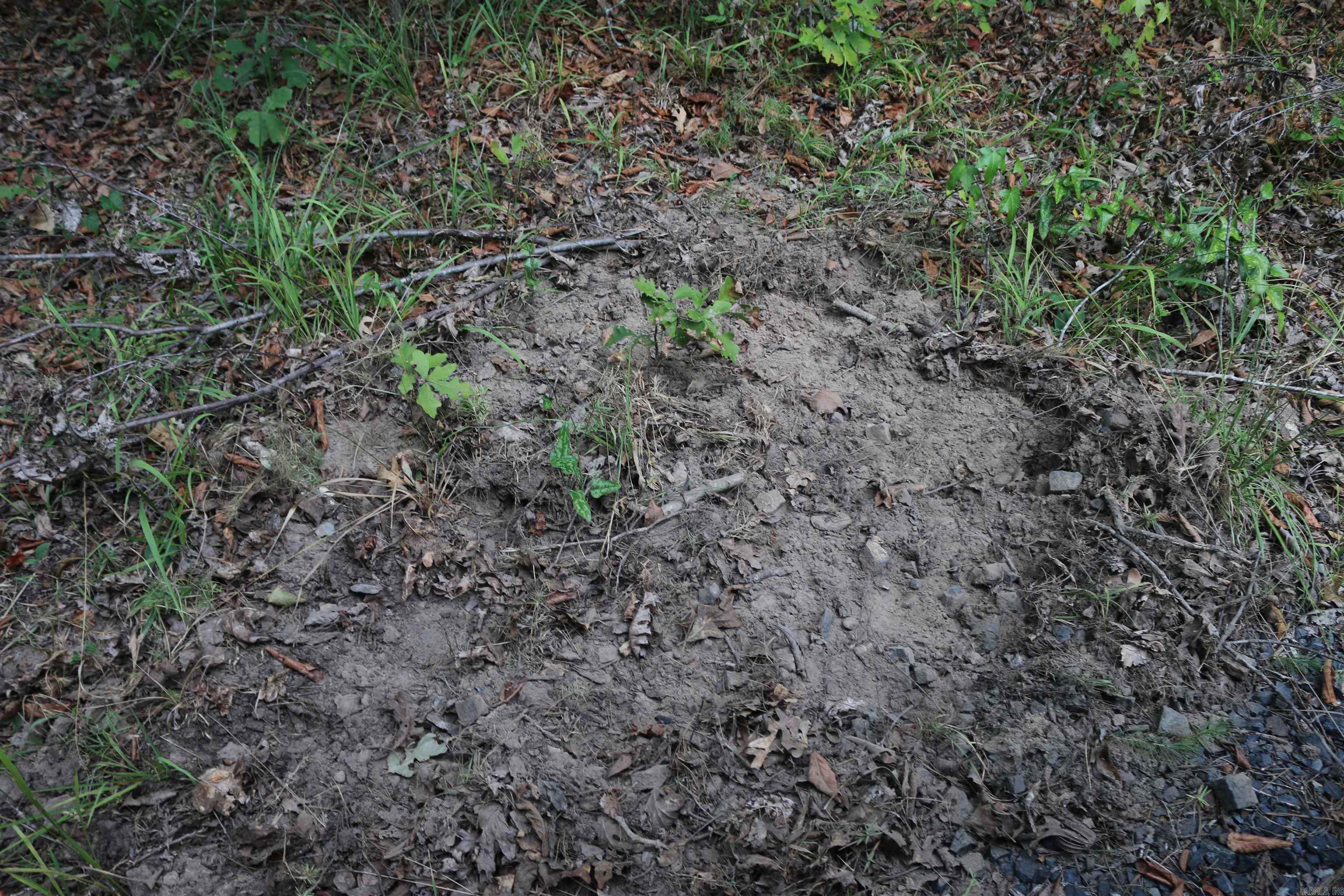 000 Kulp Road Property Photo 22