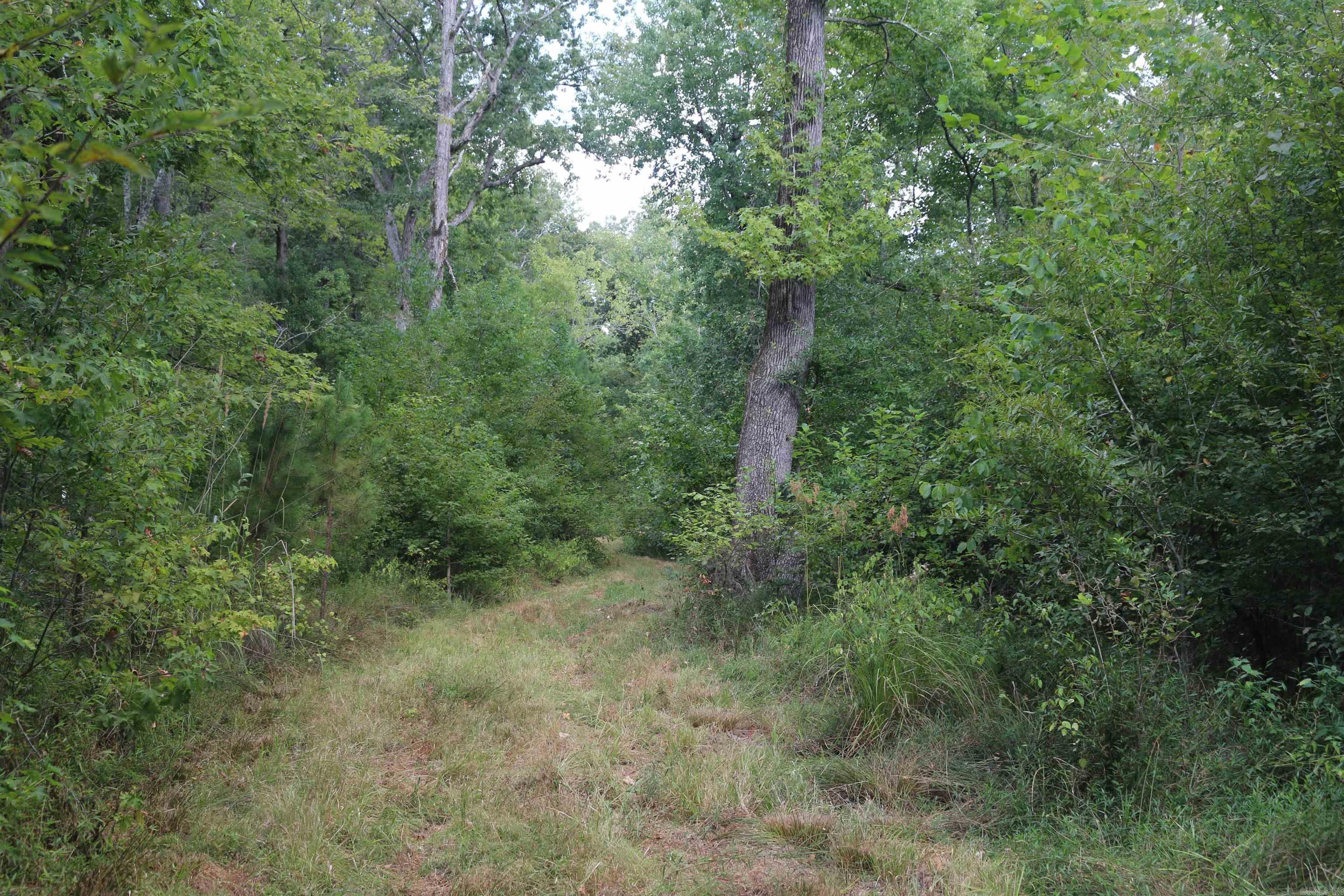 000 Kulp Road Property Photo 28
