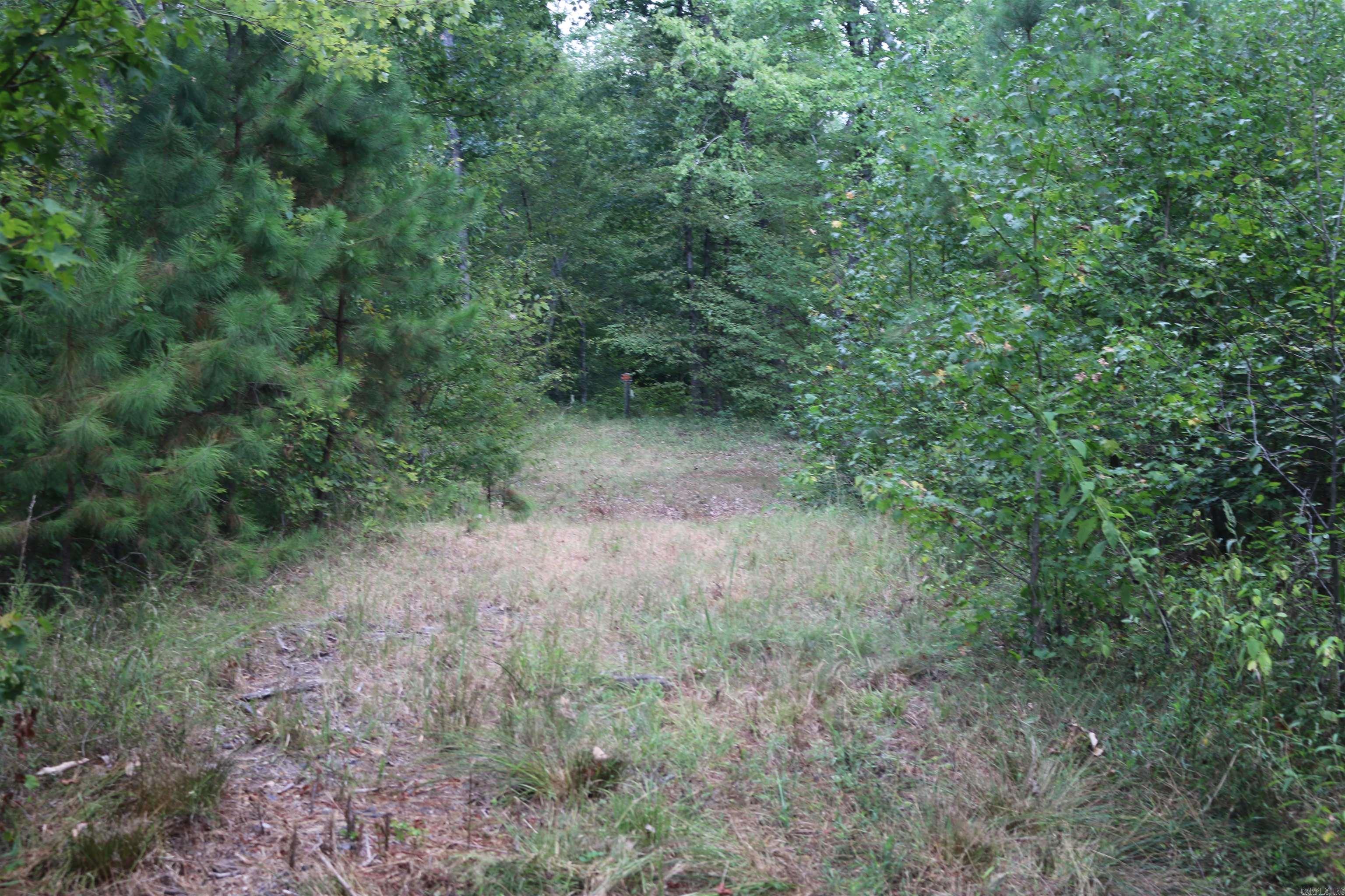 000 Kulp Road Property Photo 29