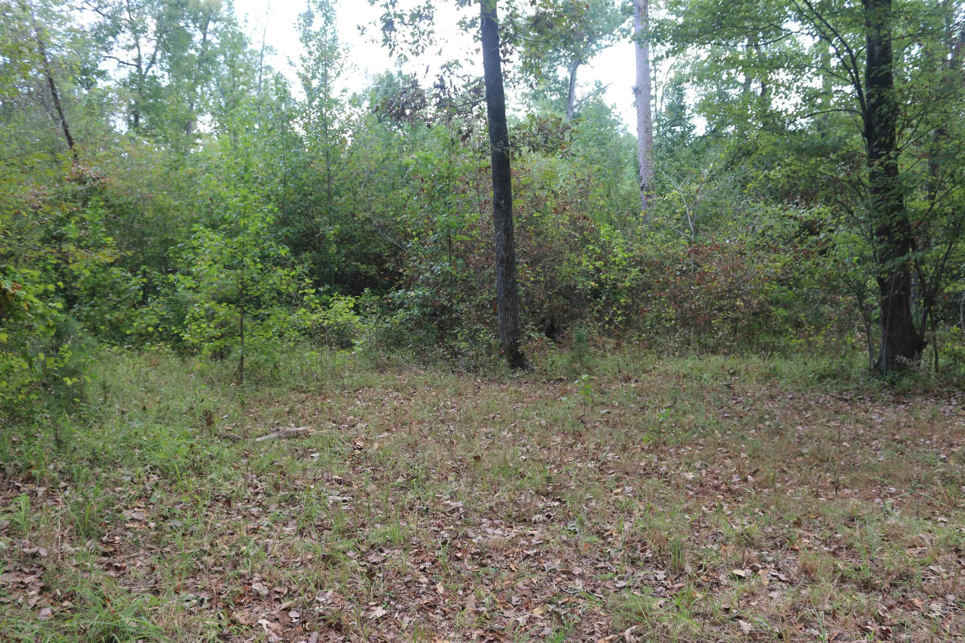 000 Kulp Road Property Photo 30