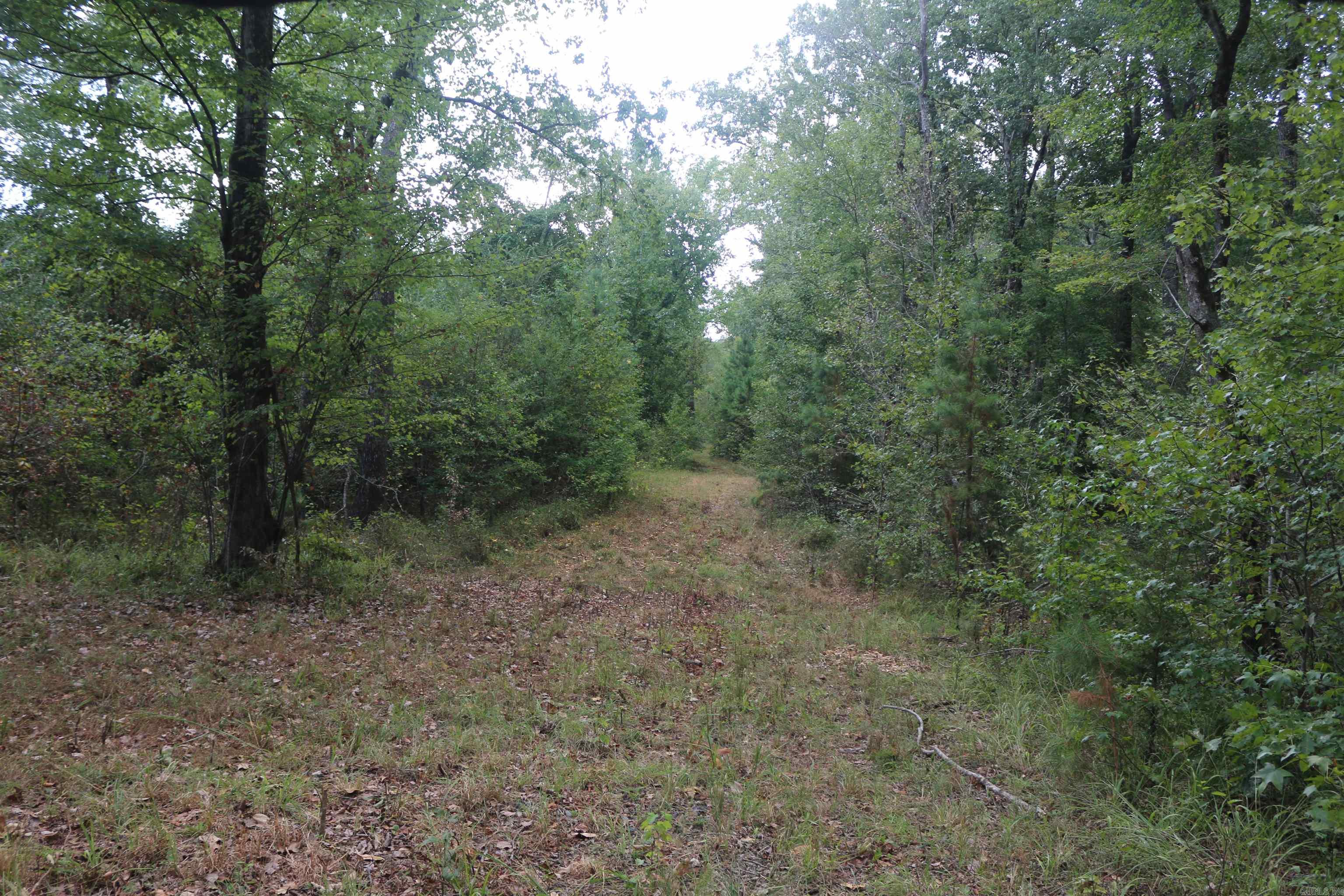 000 Kulp Road Property Photo 31