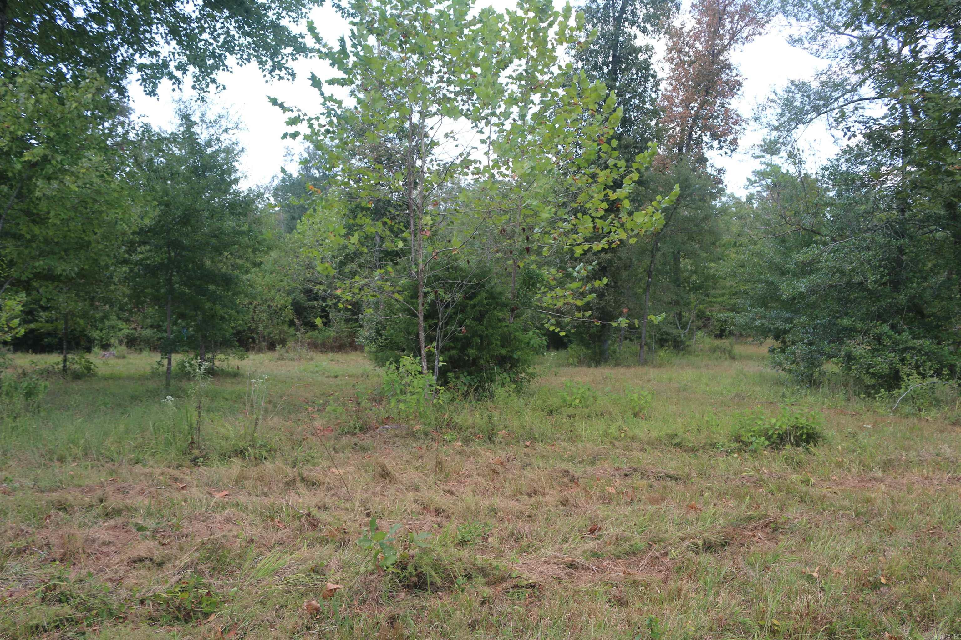 000 Kulp Road Property Photo 39
