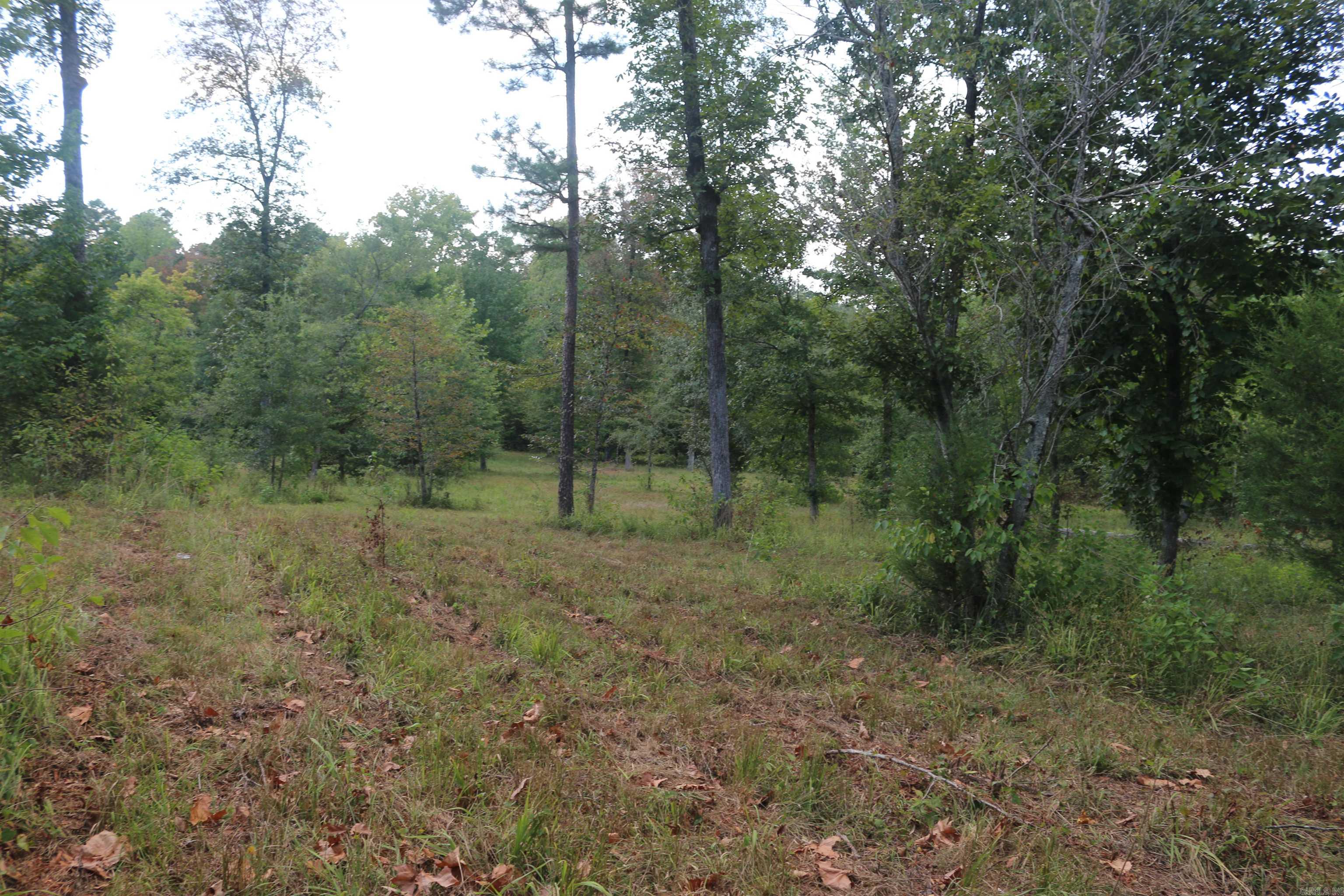 000 Kulp Road Property Photo 40
