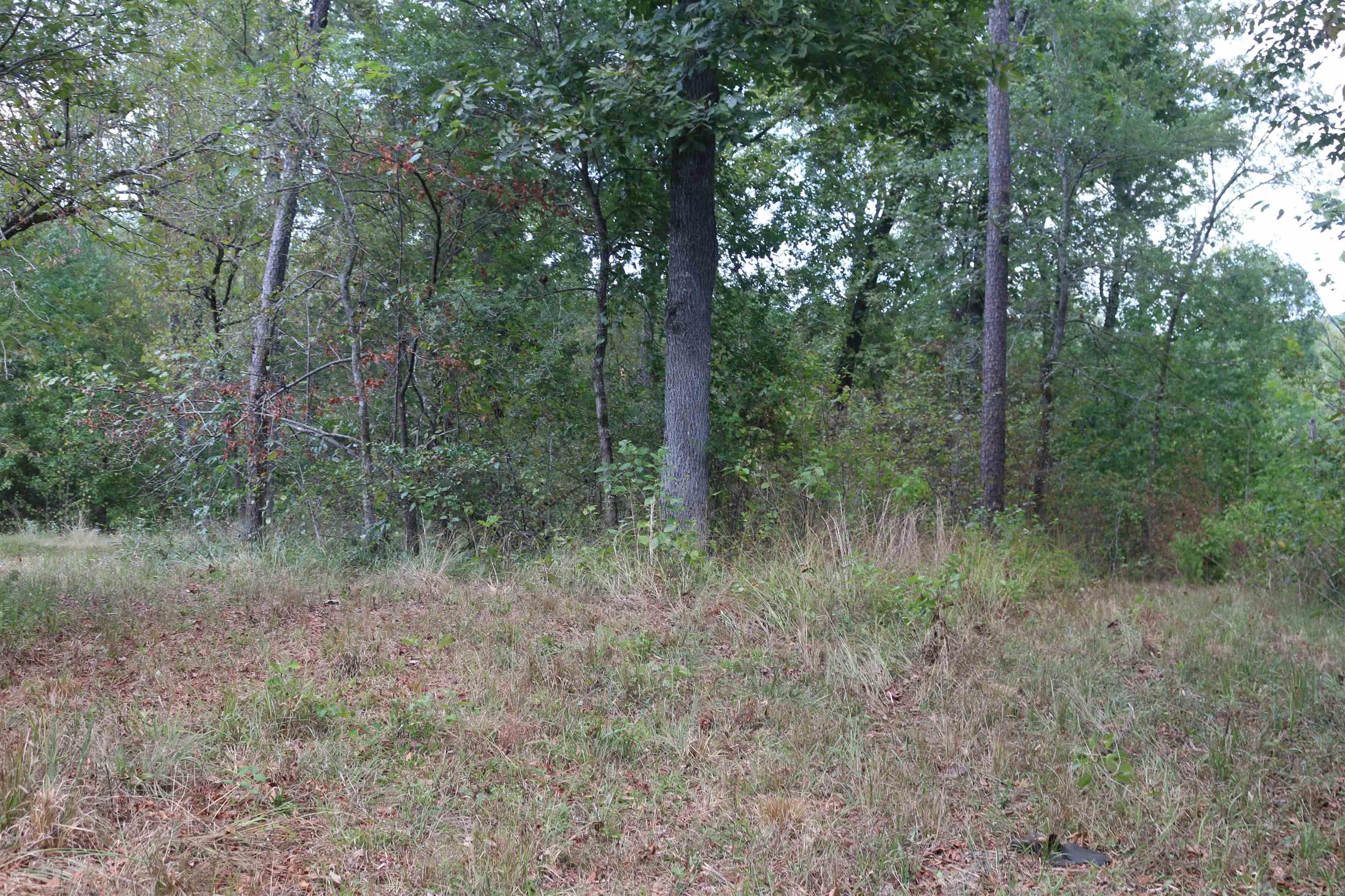 000 Kulp Road Property Photo 41