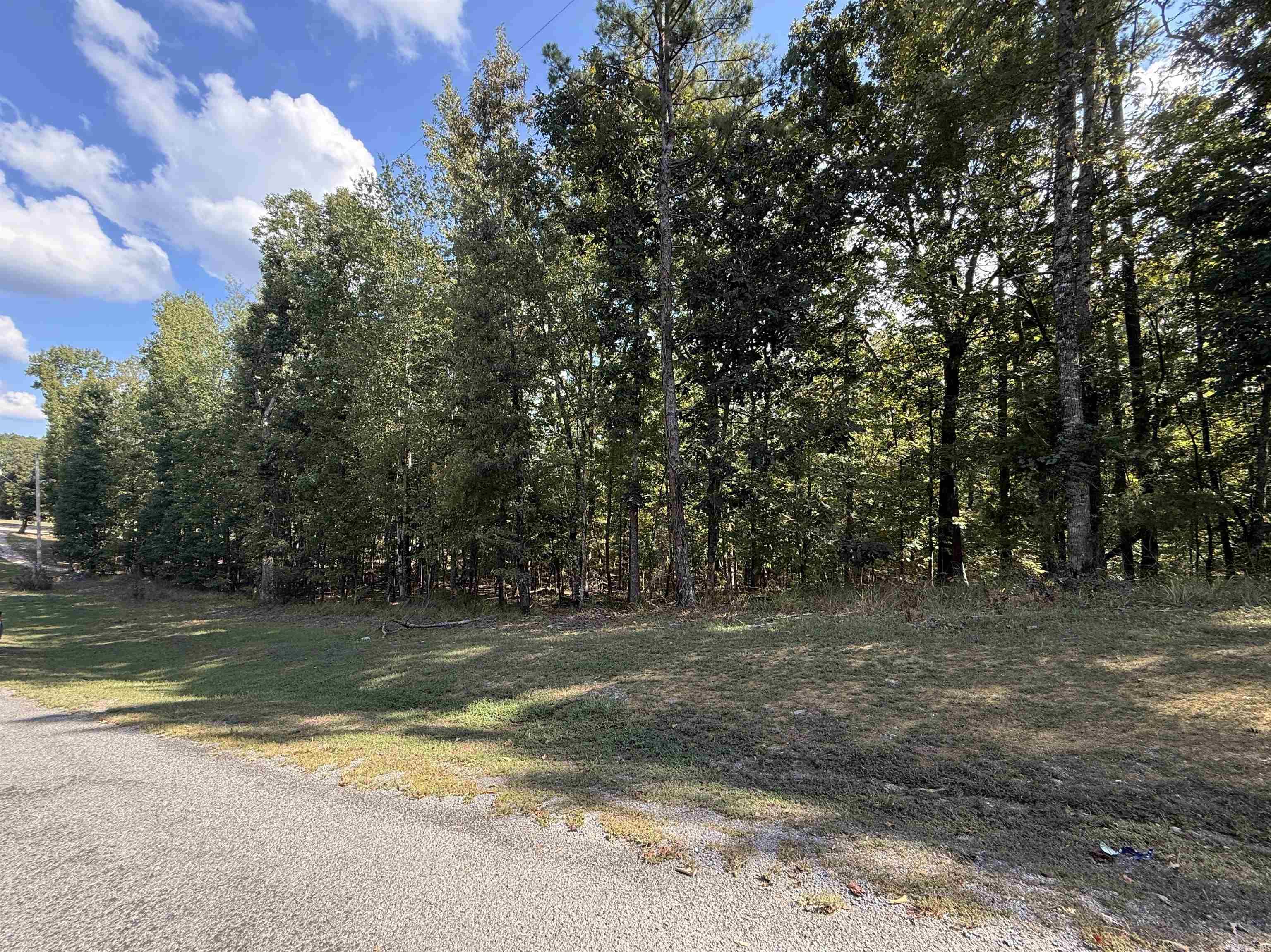 Tbd Reed Road Property Photo 1
