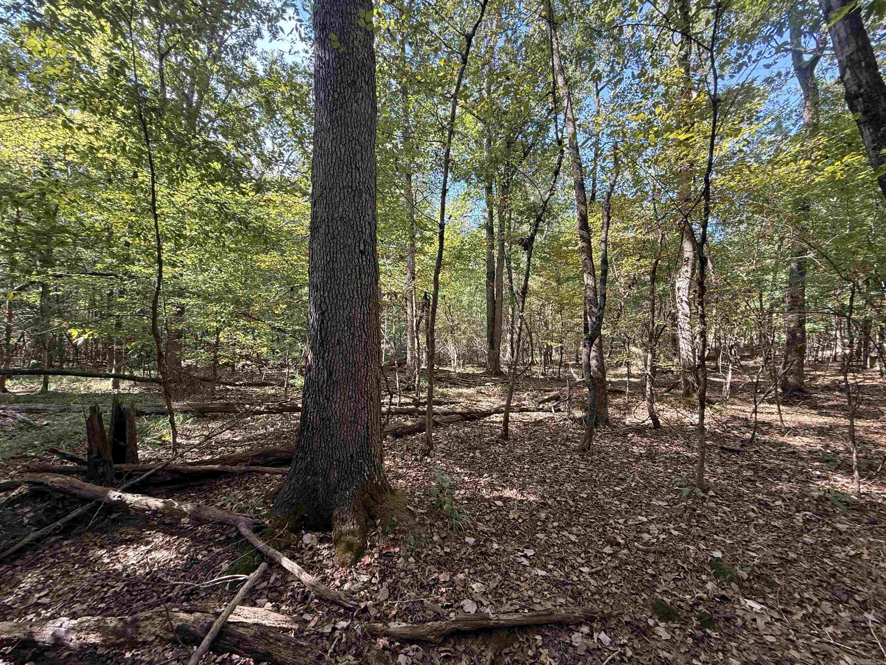 Tbd Reed Road Property Photo 2