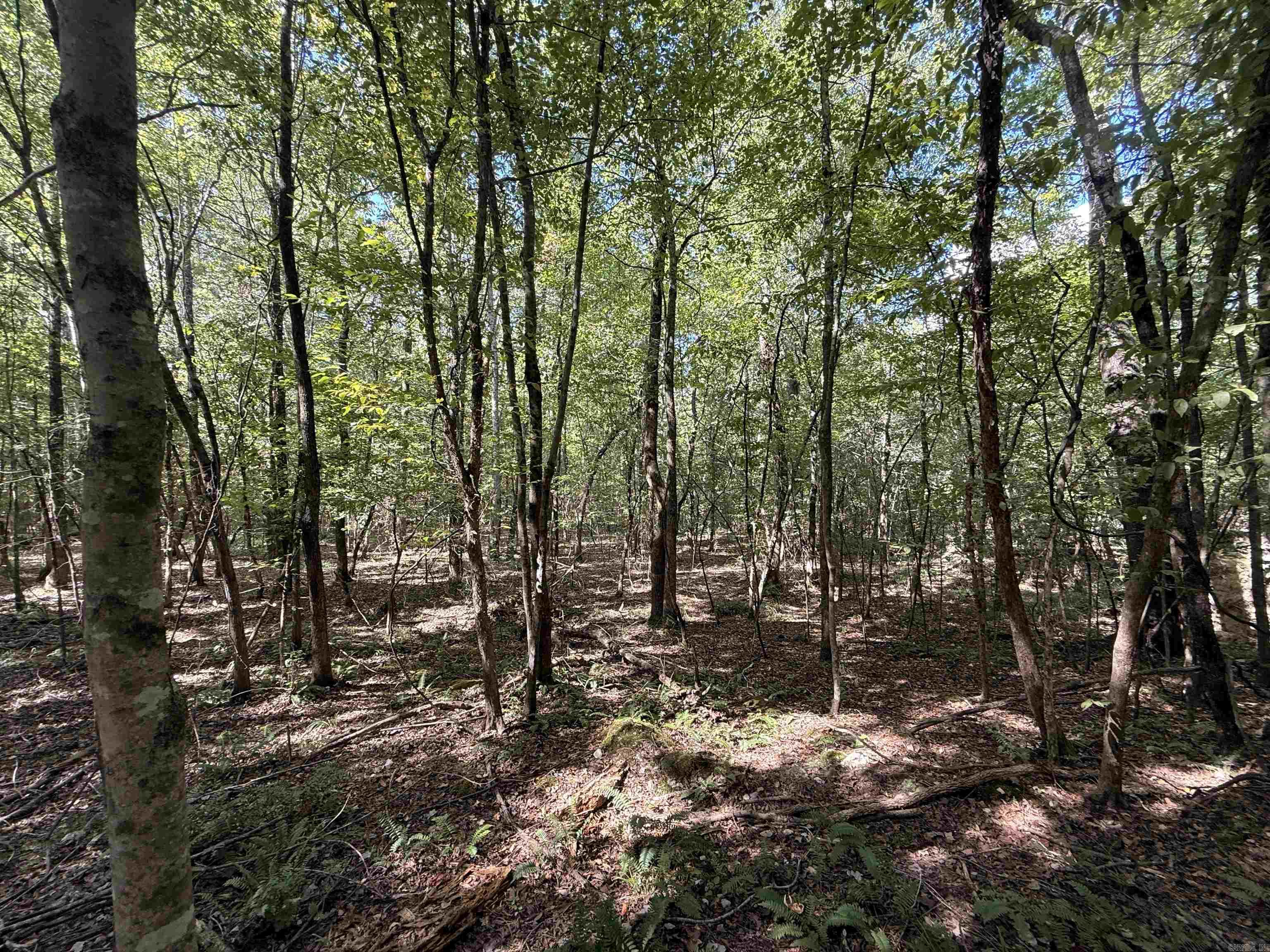 Tbd Reed Road Property Photo 3
