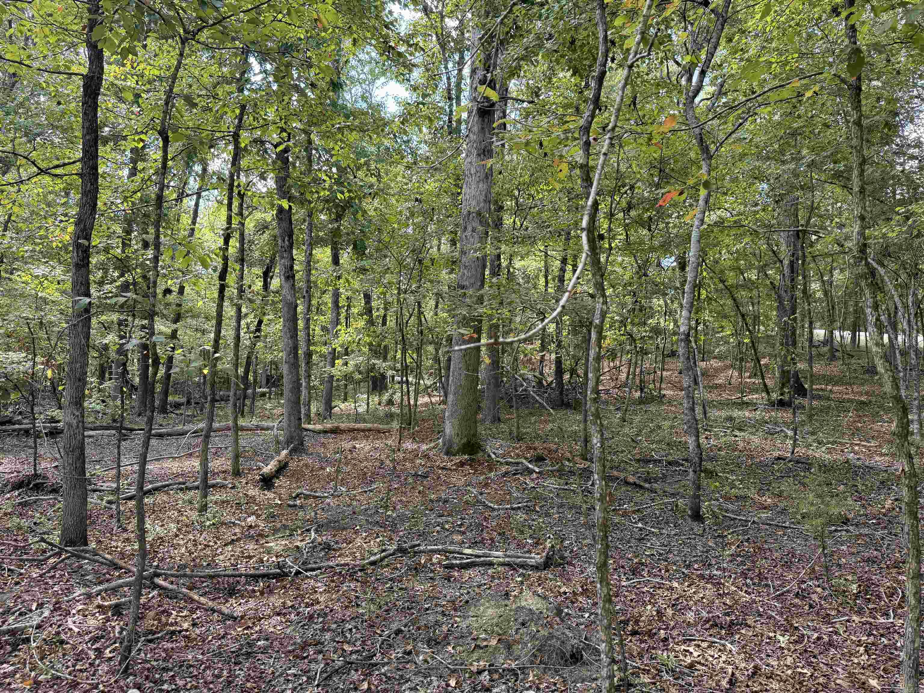Tbd Reed Road Property Photo 4