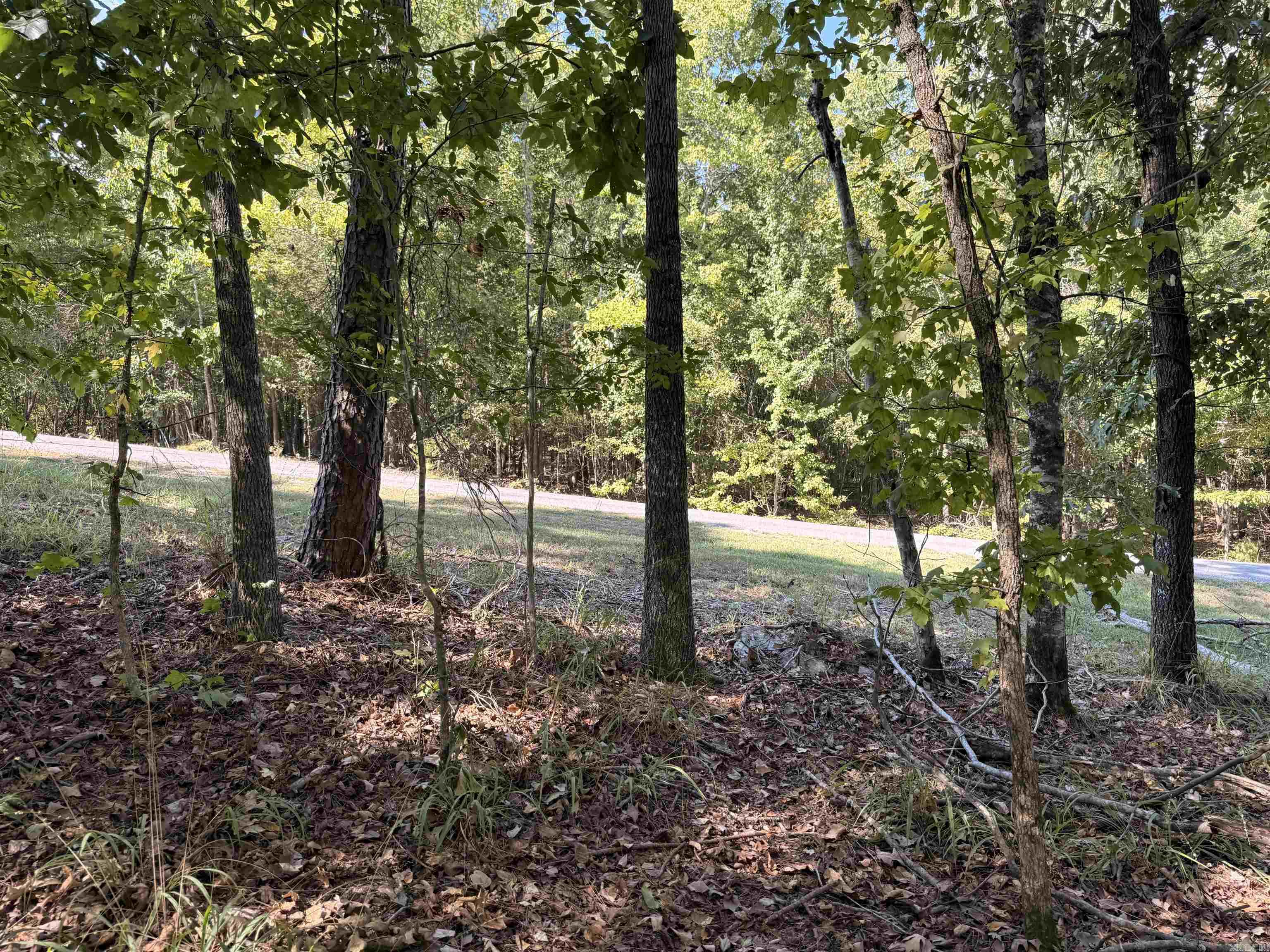 Tbd Reed Road Property Photo 5