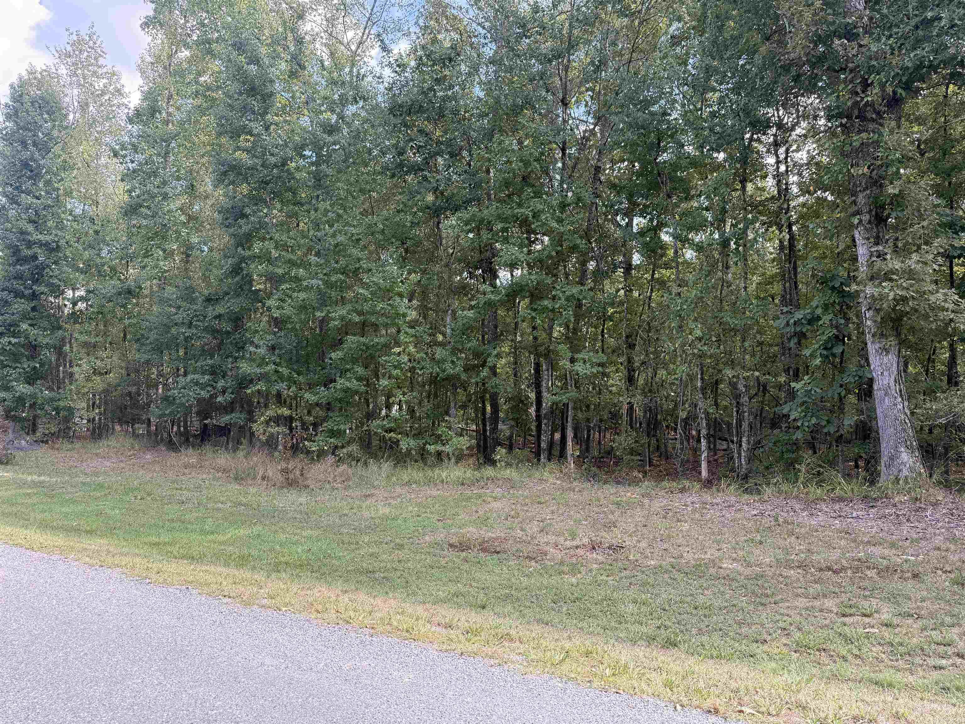 Tbd Reed Road Property Photo 10