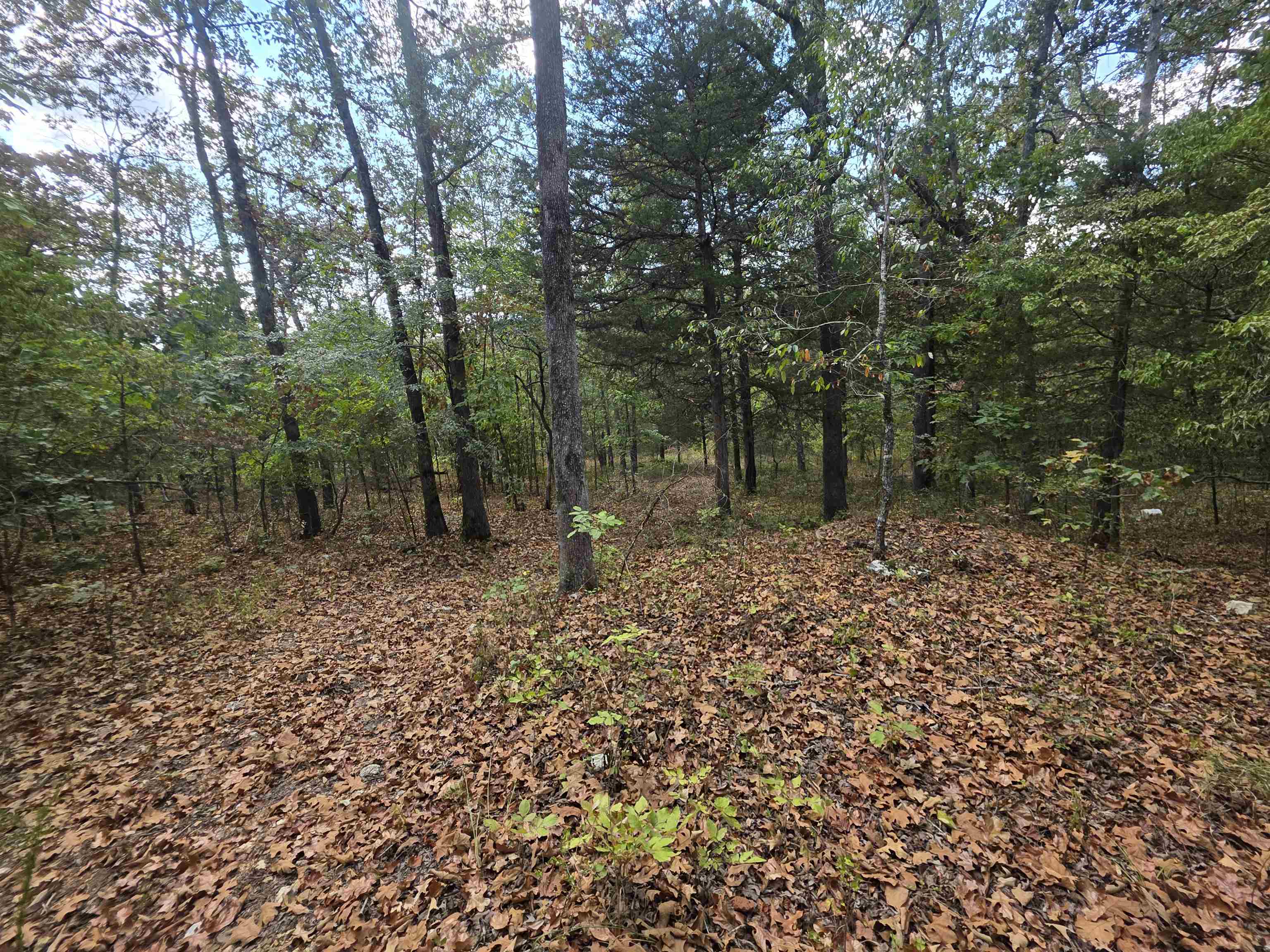 207 Ridge Road Property Photo 4
