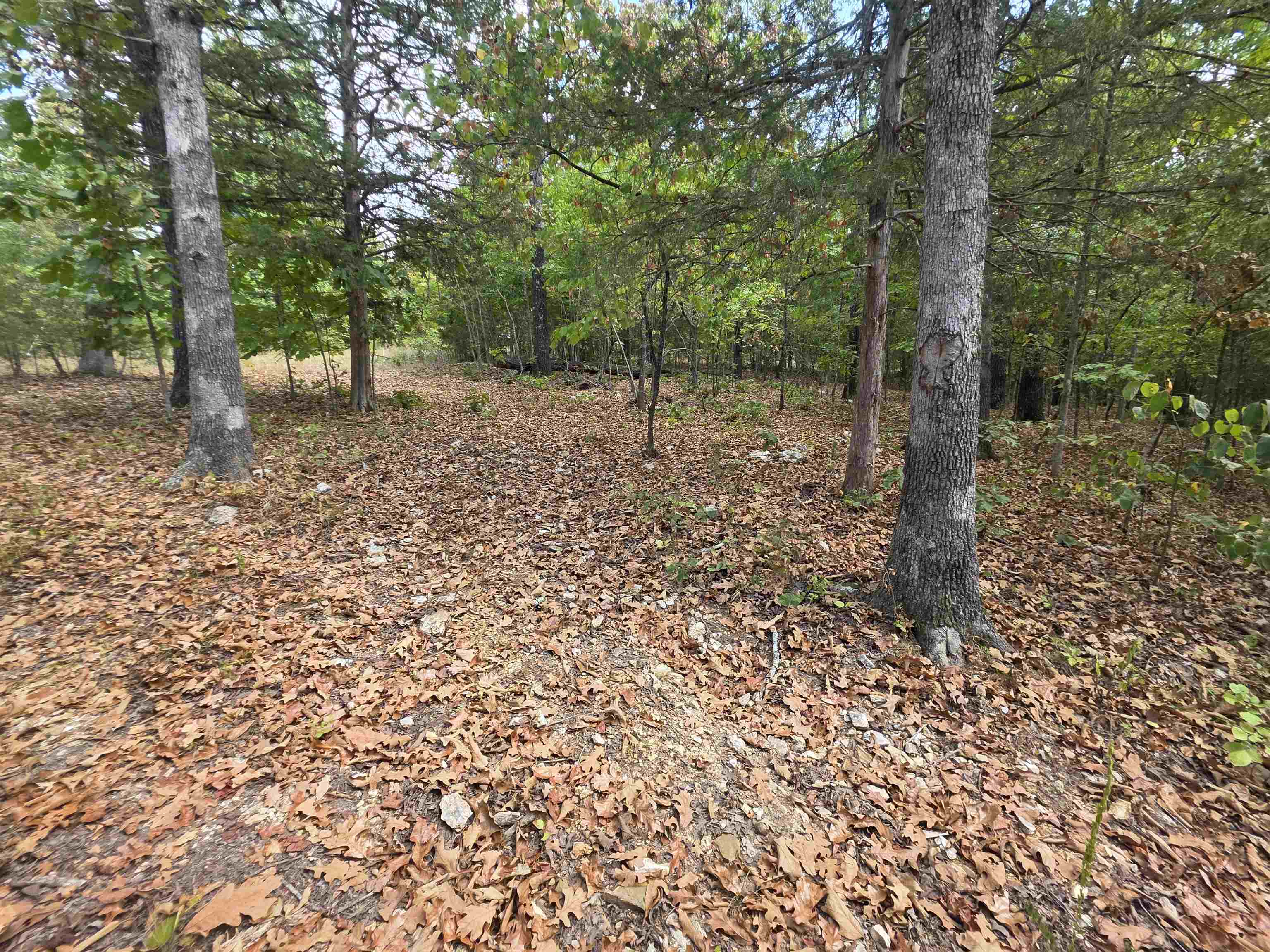 207 Ridge Road Property Photo 5