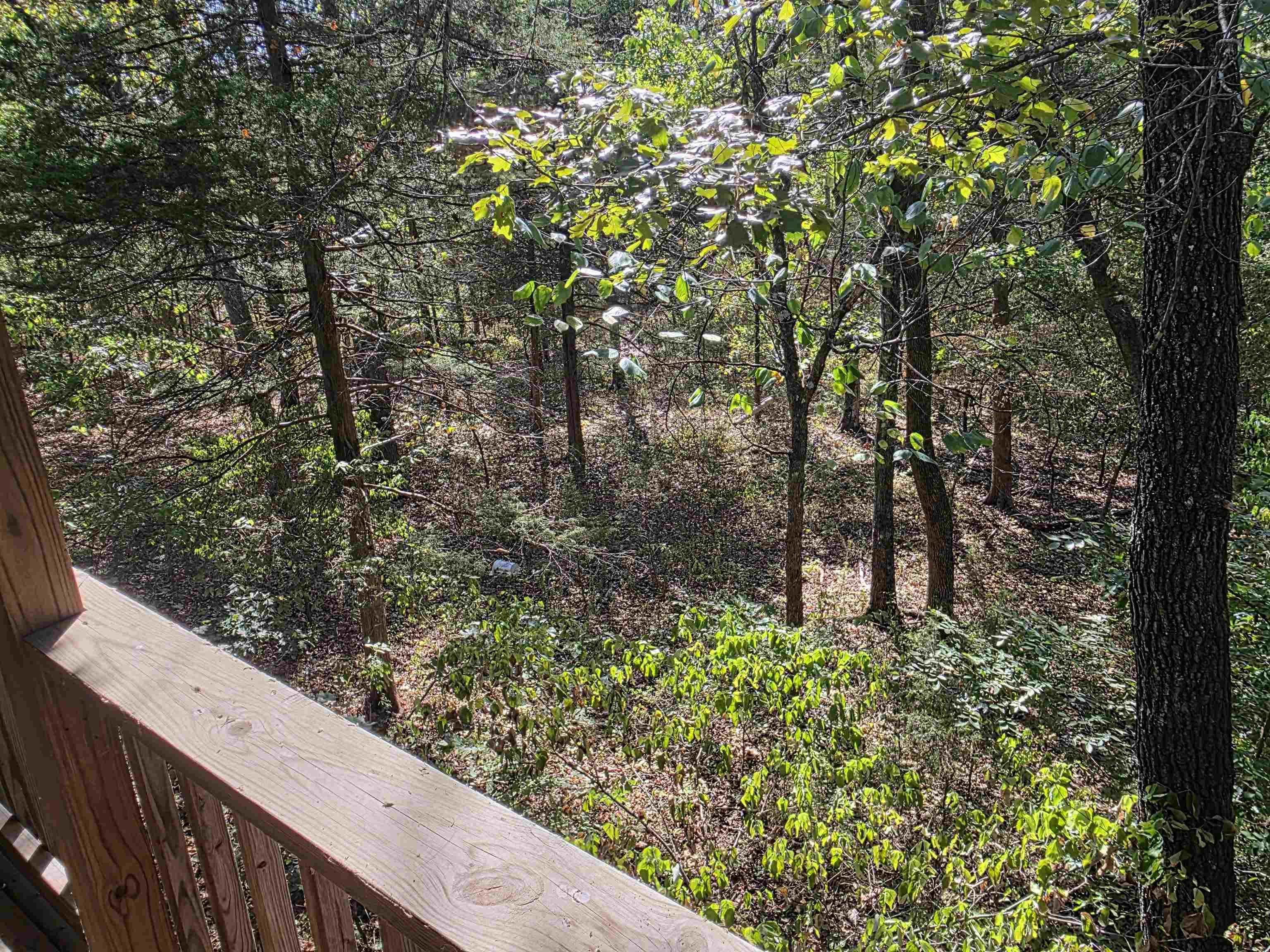207 Ridge Road Property Photo 14