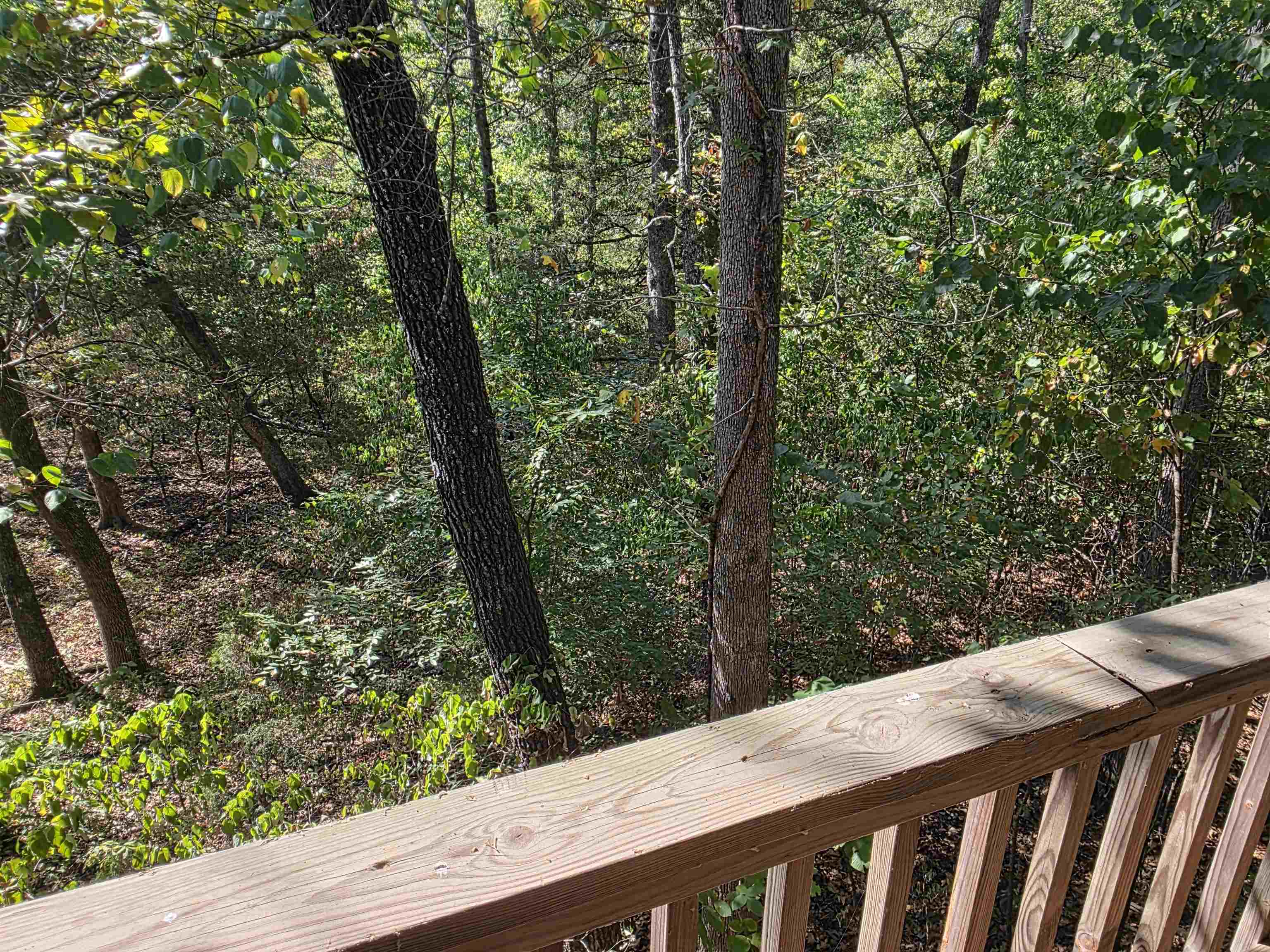 207 Ridge Road Property Photo 15