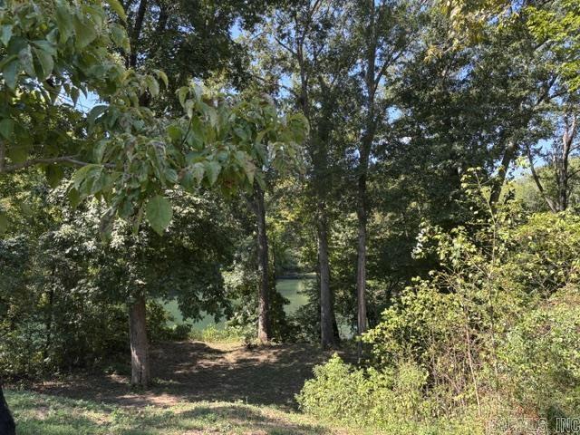 240 River Mist Drive Property Photo 1