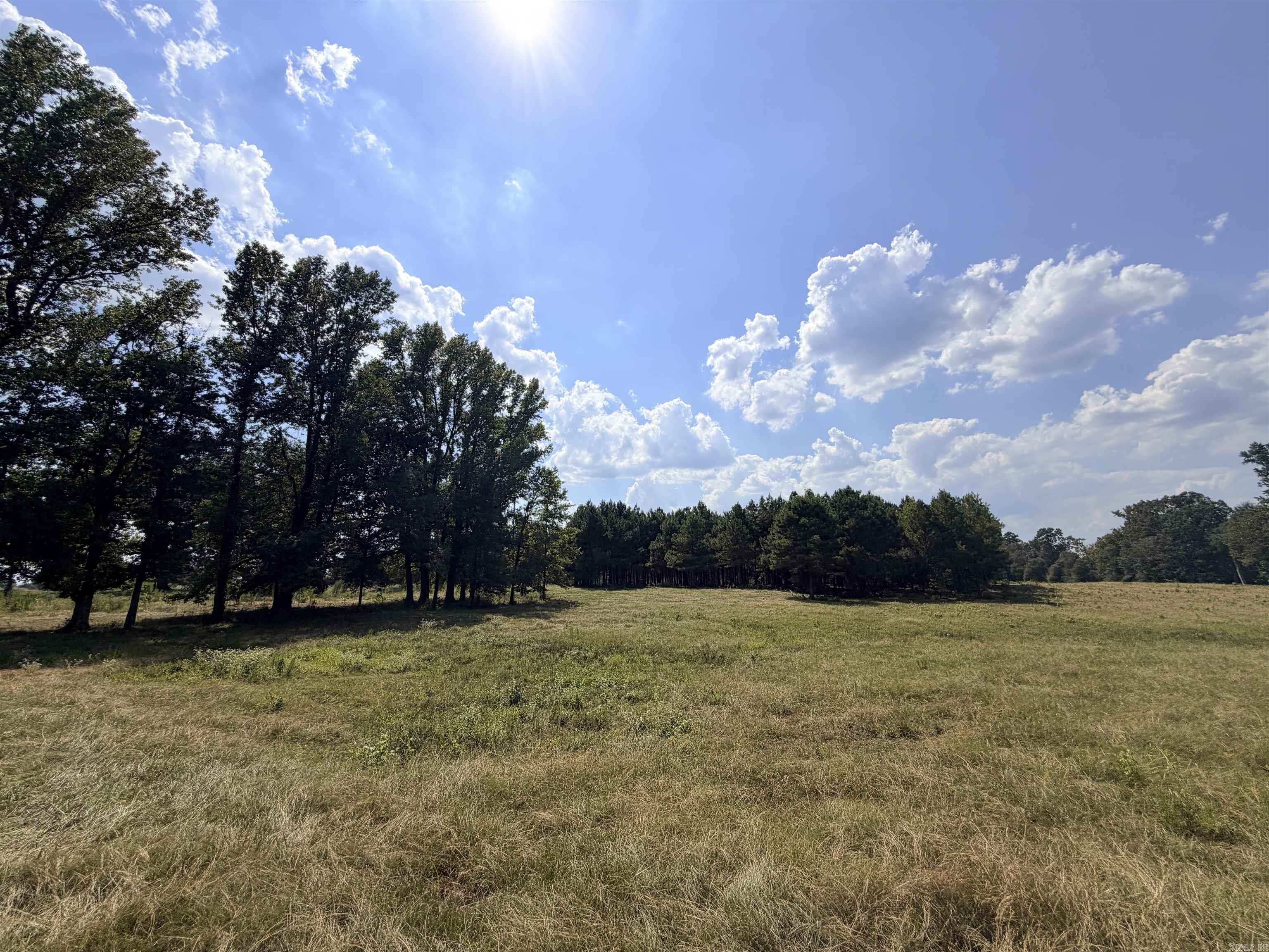 Little River 144 Property Photo 2