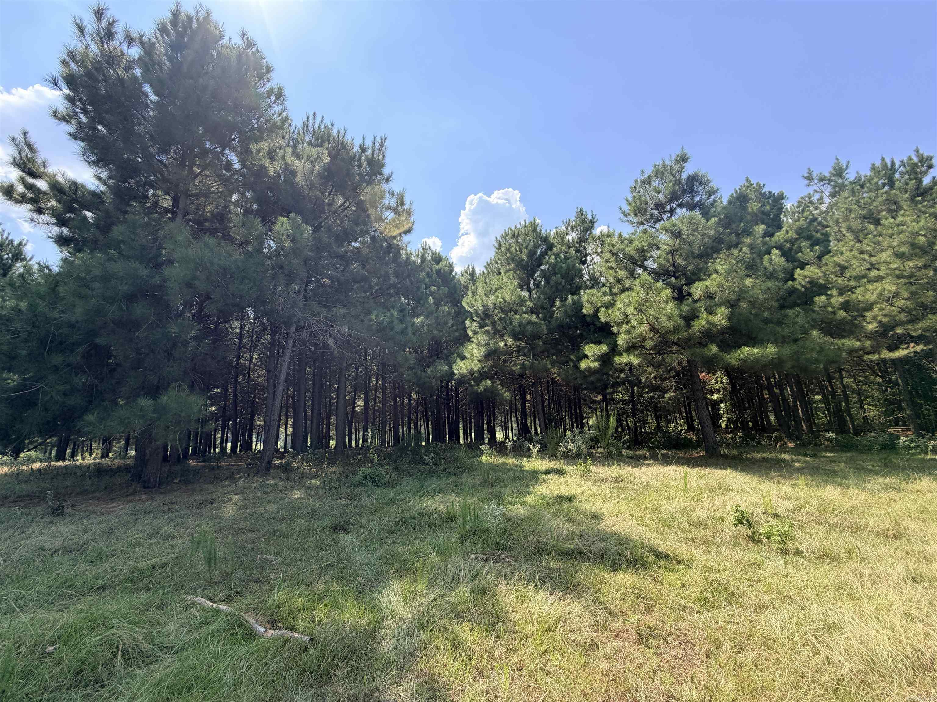 Little River 144 Property Photo 3