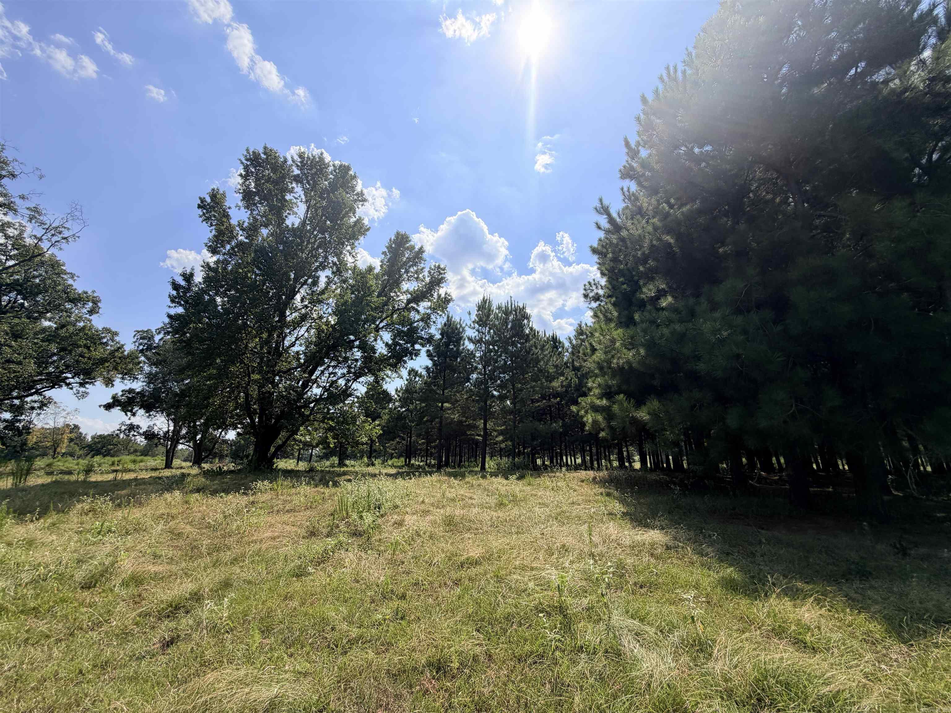 Little River 144 Property Photo 4