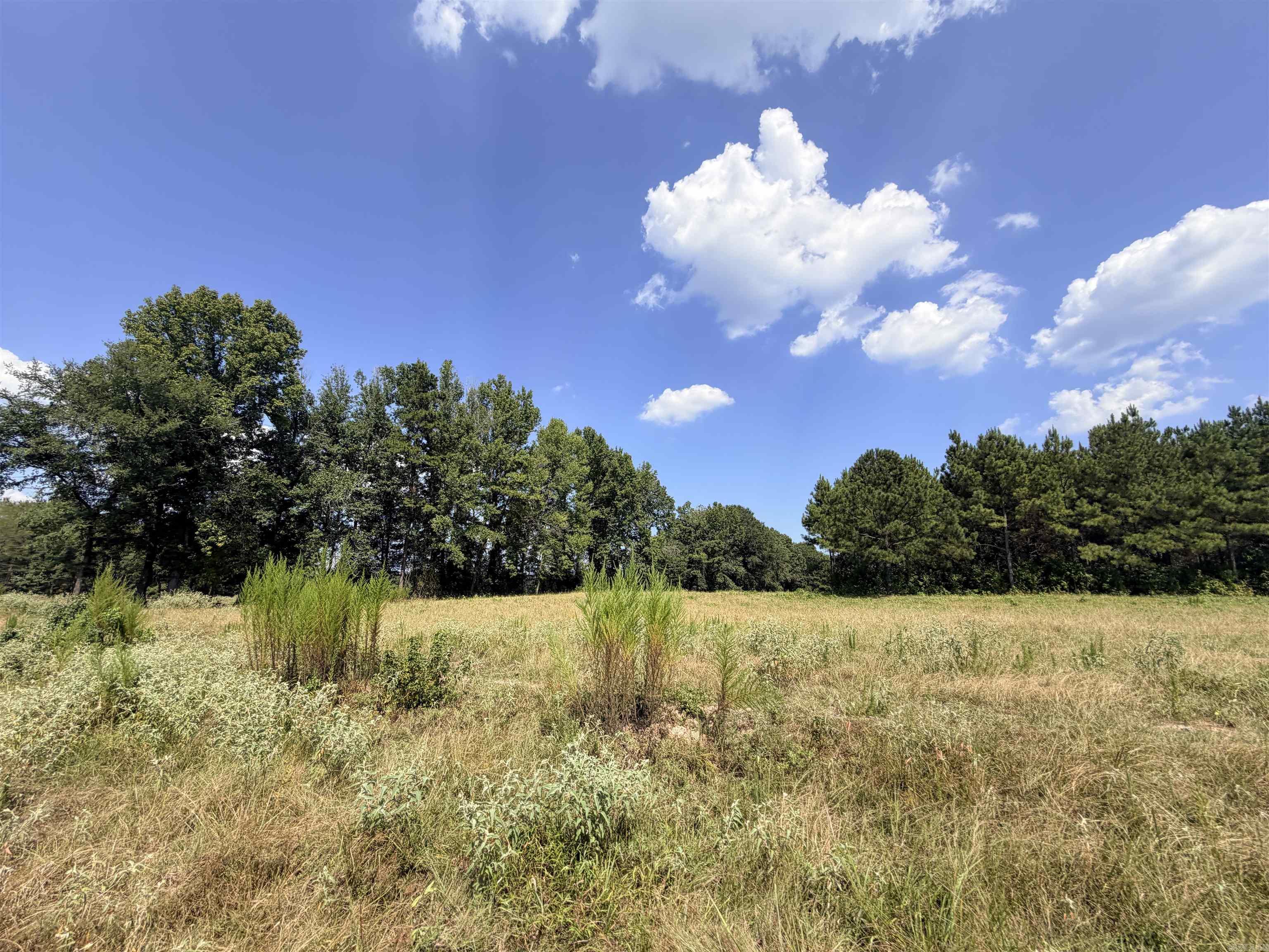 Little River 144 Property Photo 6