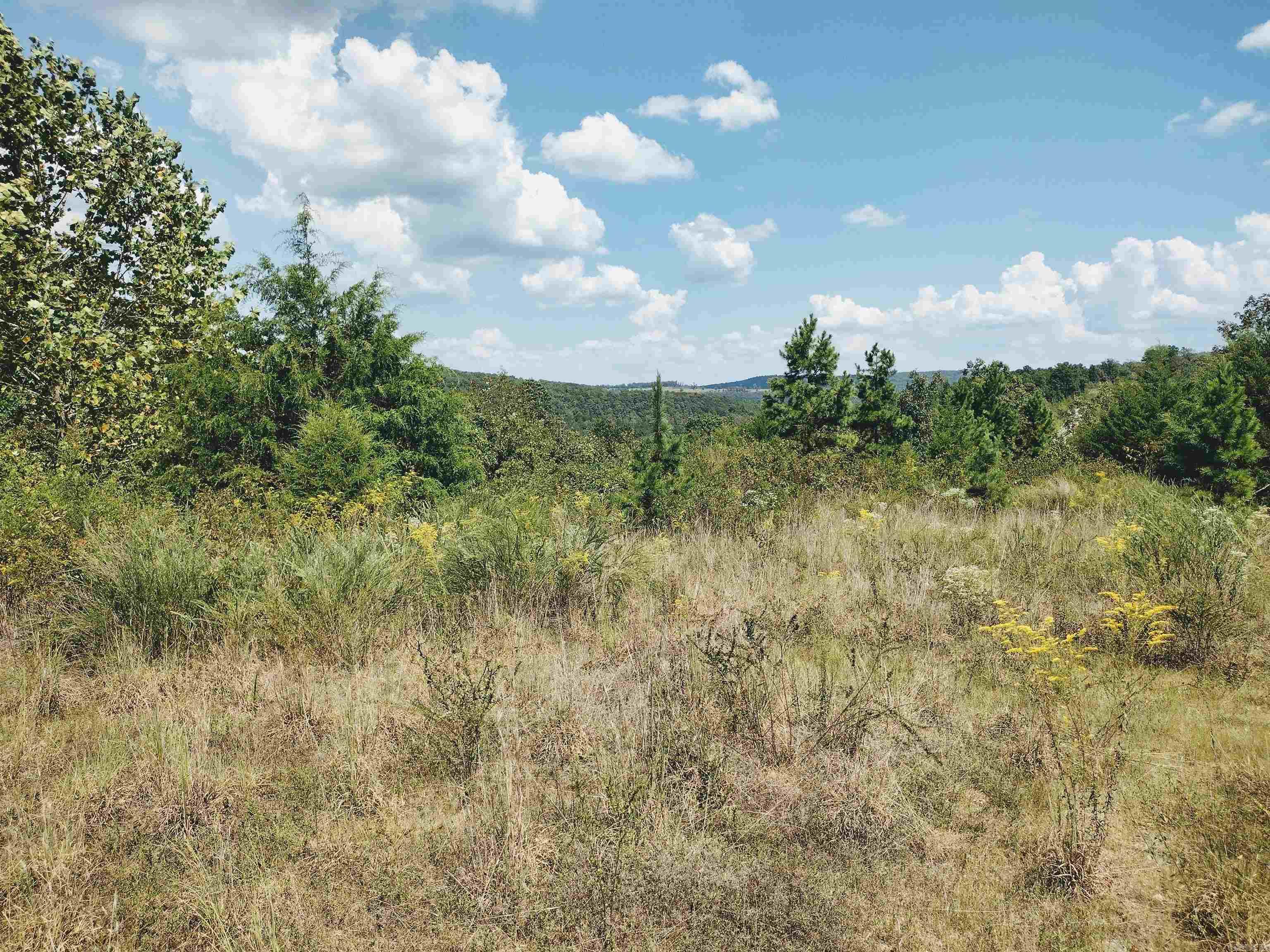 0 Hwy 9 S Property Photo 3