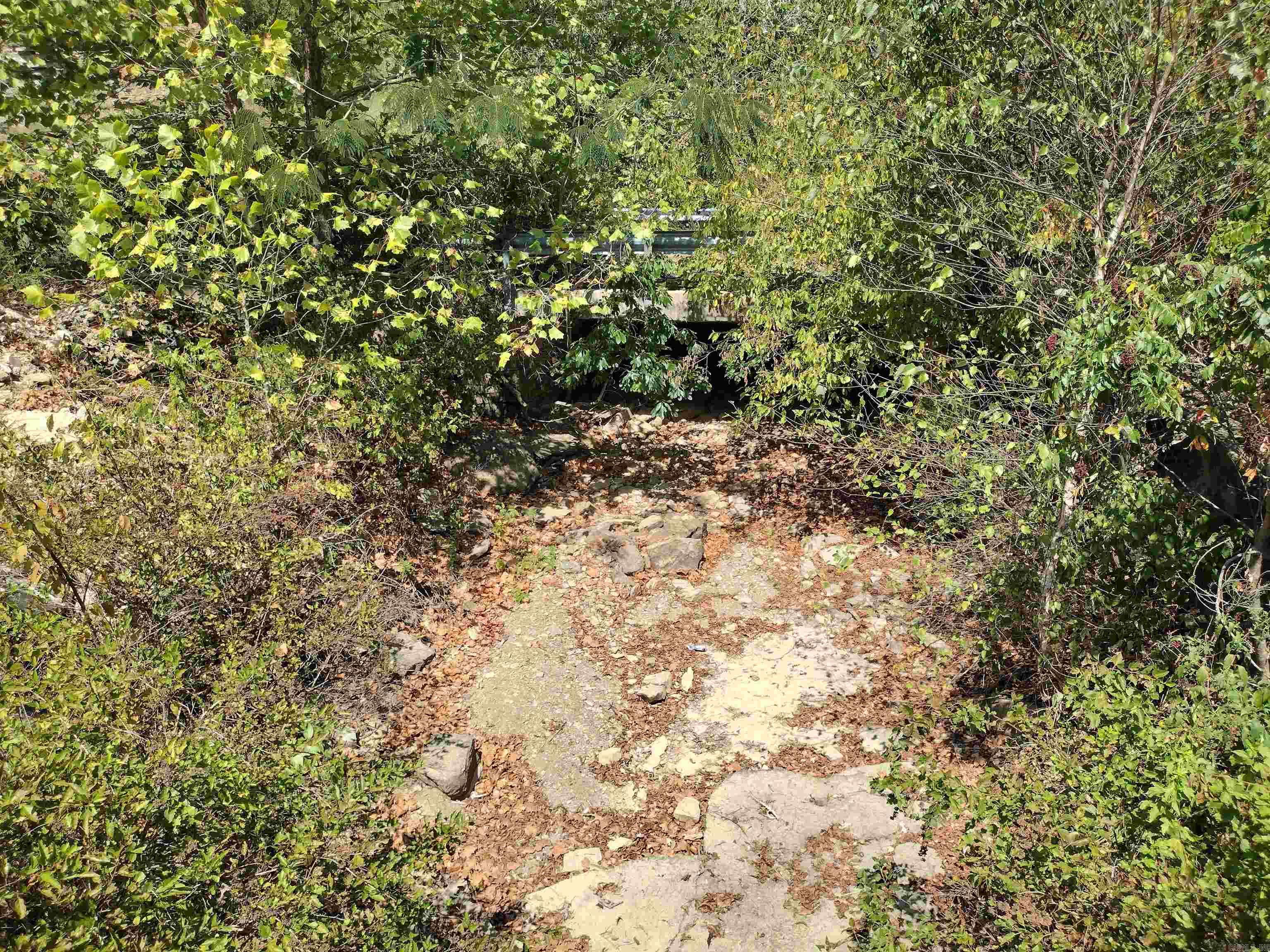 0 Hwy 9 S Property Photo 5