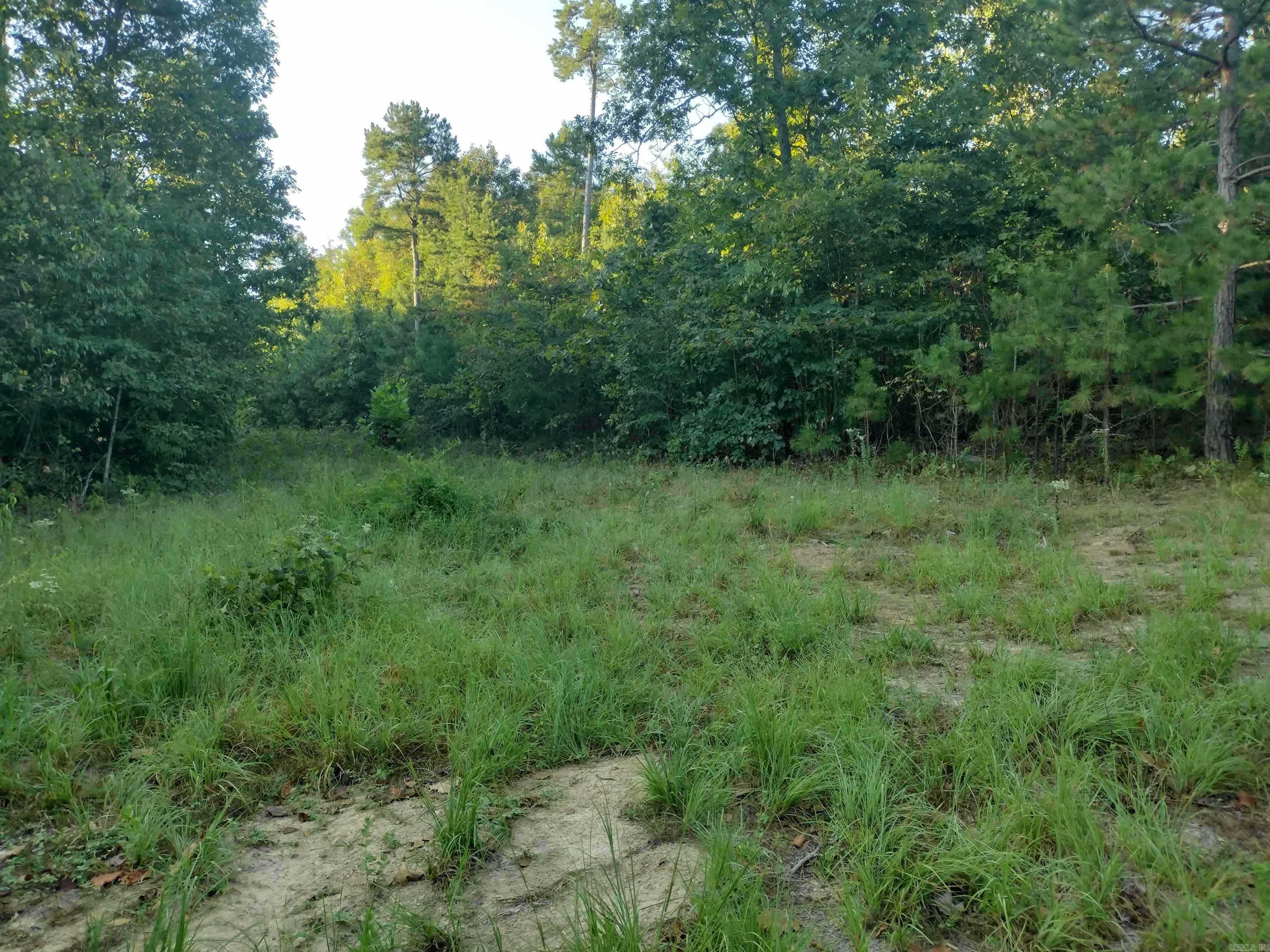 0 Hwy 9 S Property Photo 6