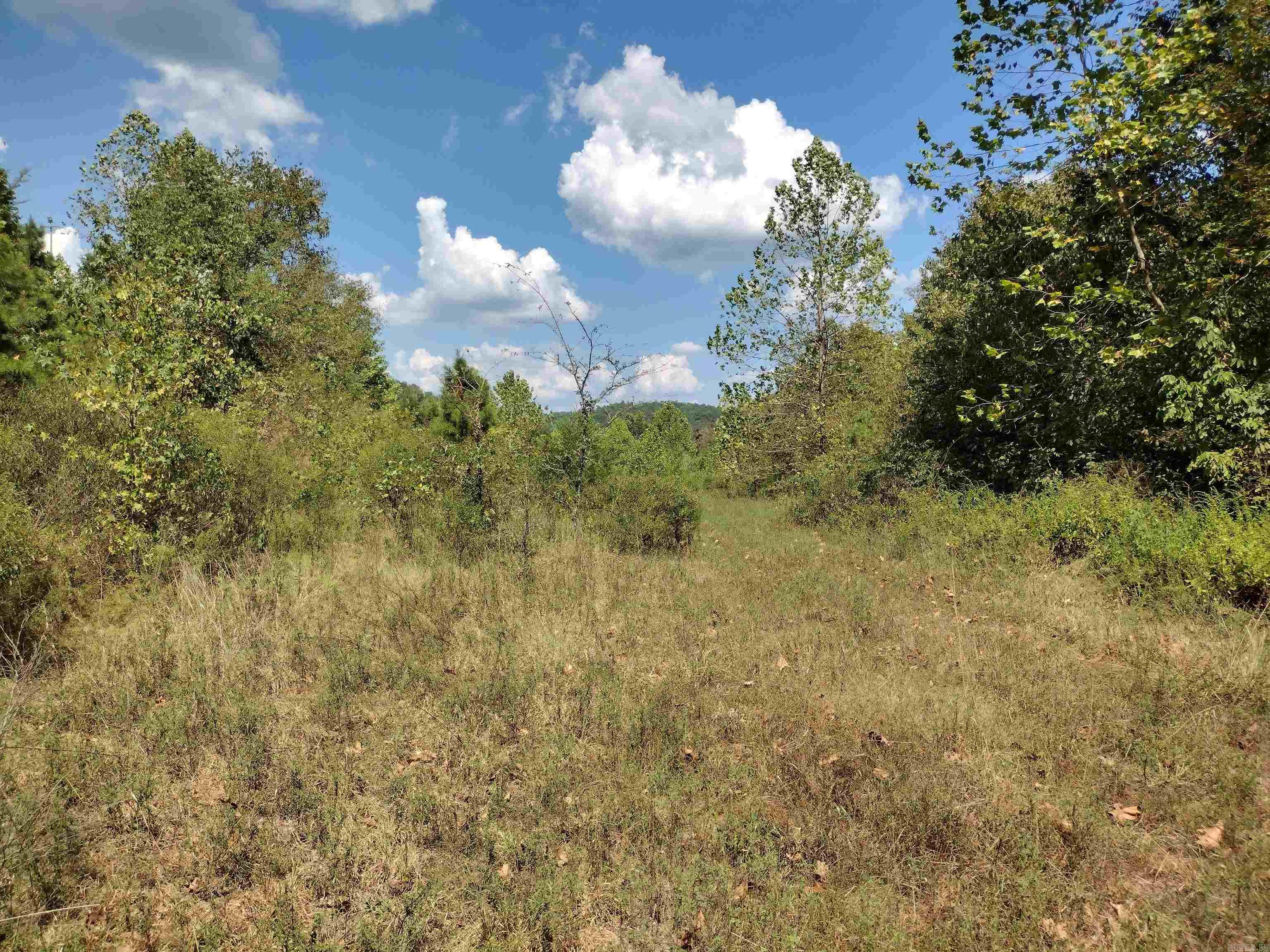 0 Hwy 9 S Property Photo 8