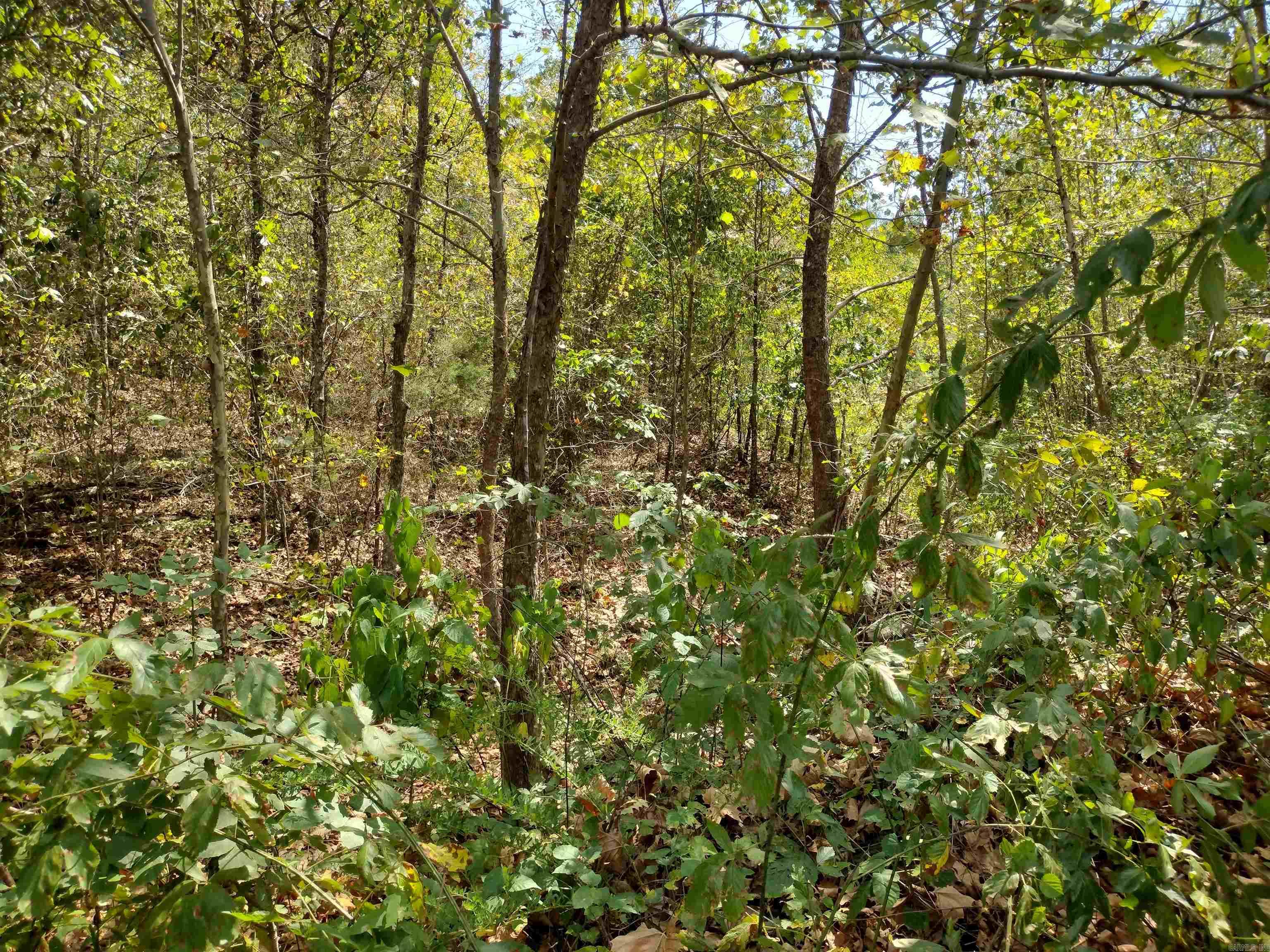 0 Hwy 9 S Property Photo 10