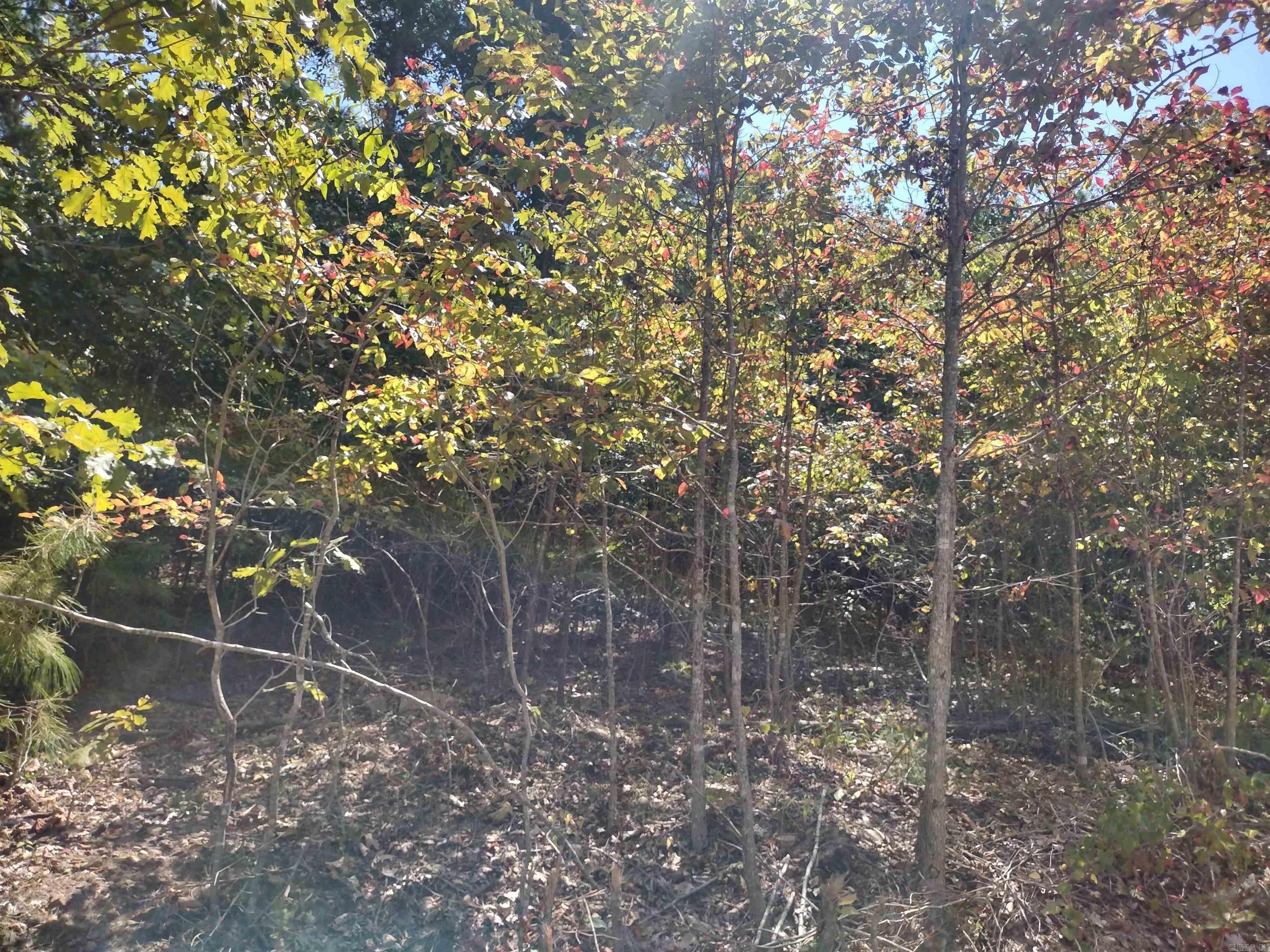 0 Hwy 9 S Property Photo 11