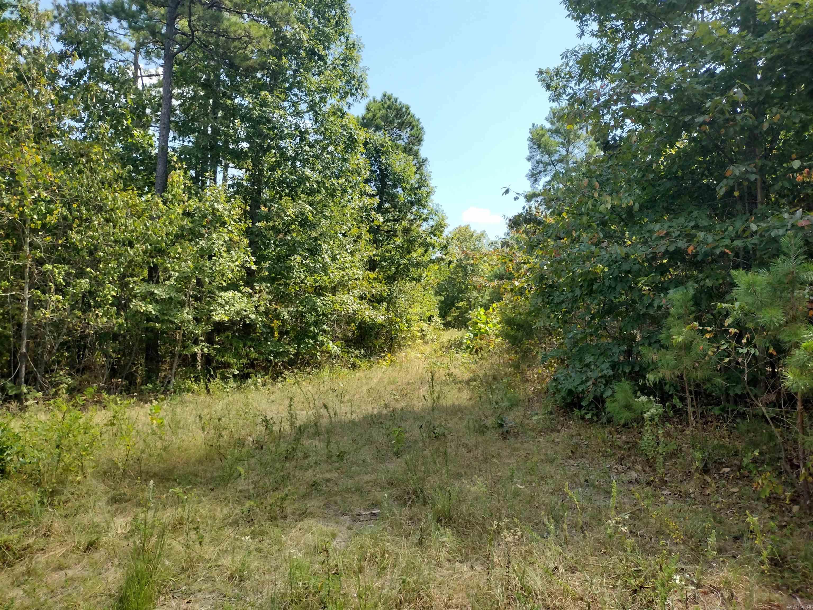 0 Hwy 9 S Property Photo 12