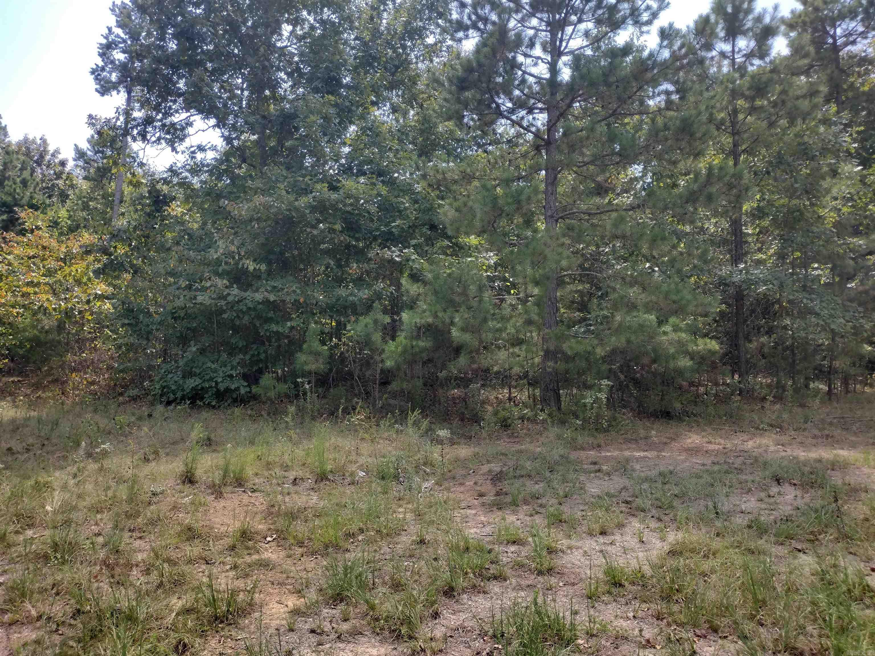 0 Hwy 9 S Property Photo 14
