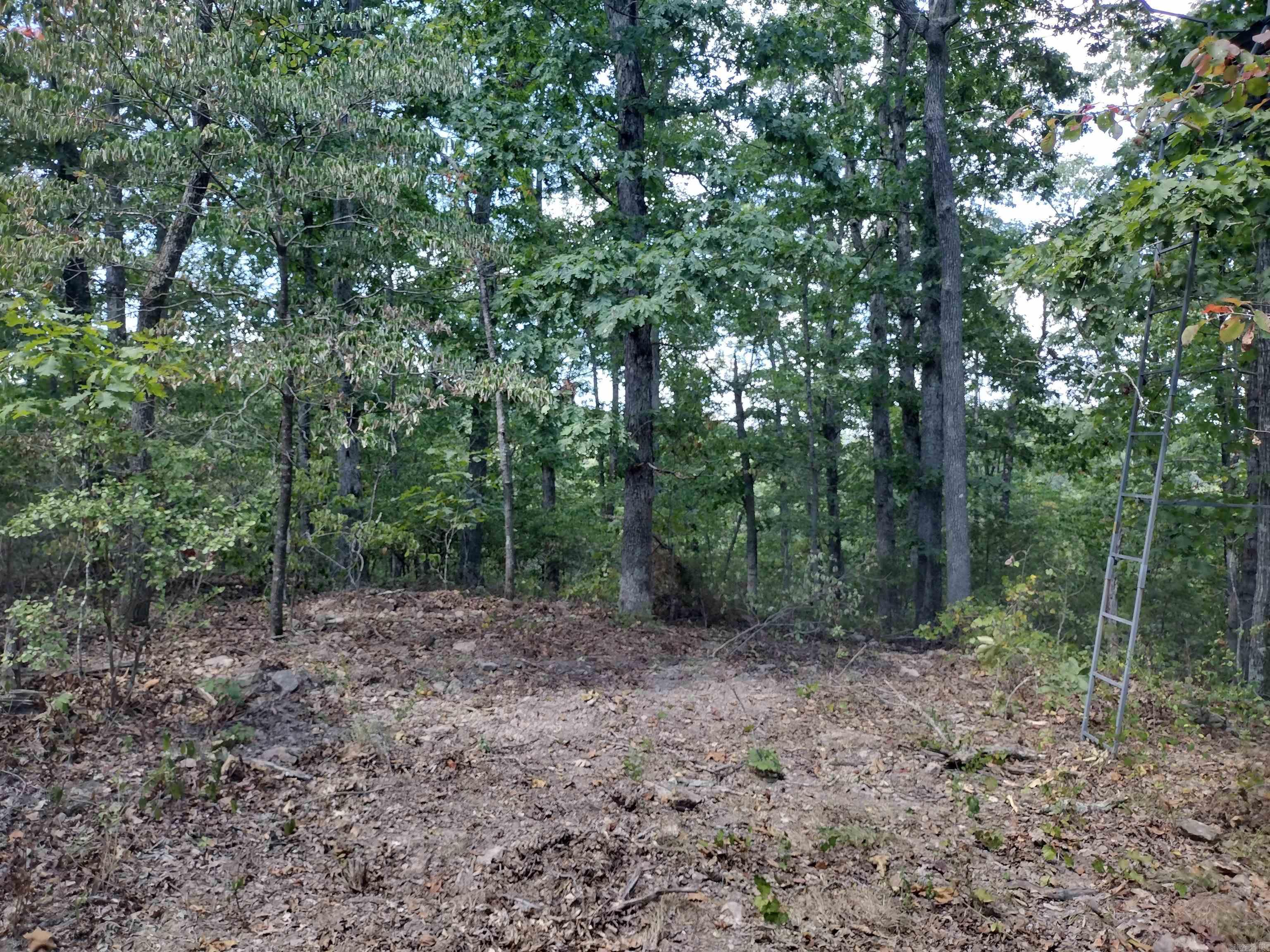 0 Hwy 9 S Property Photo 15