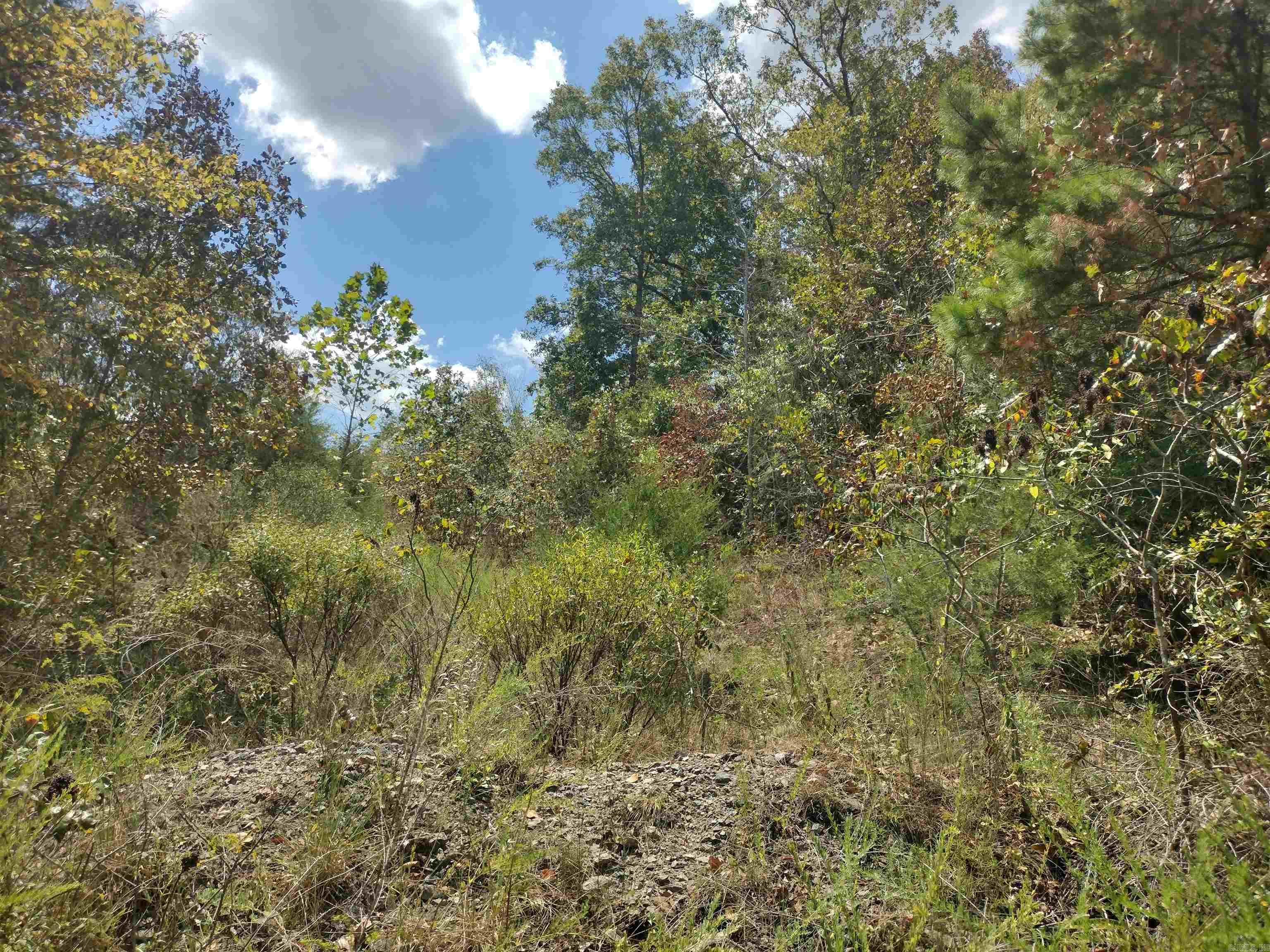 0 Hwy 9 S Property Photo 21