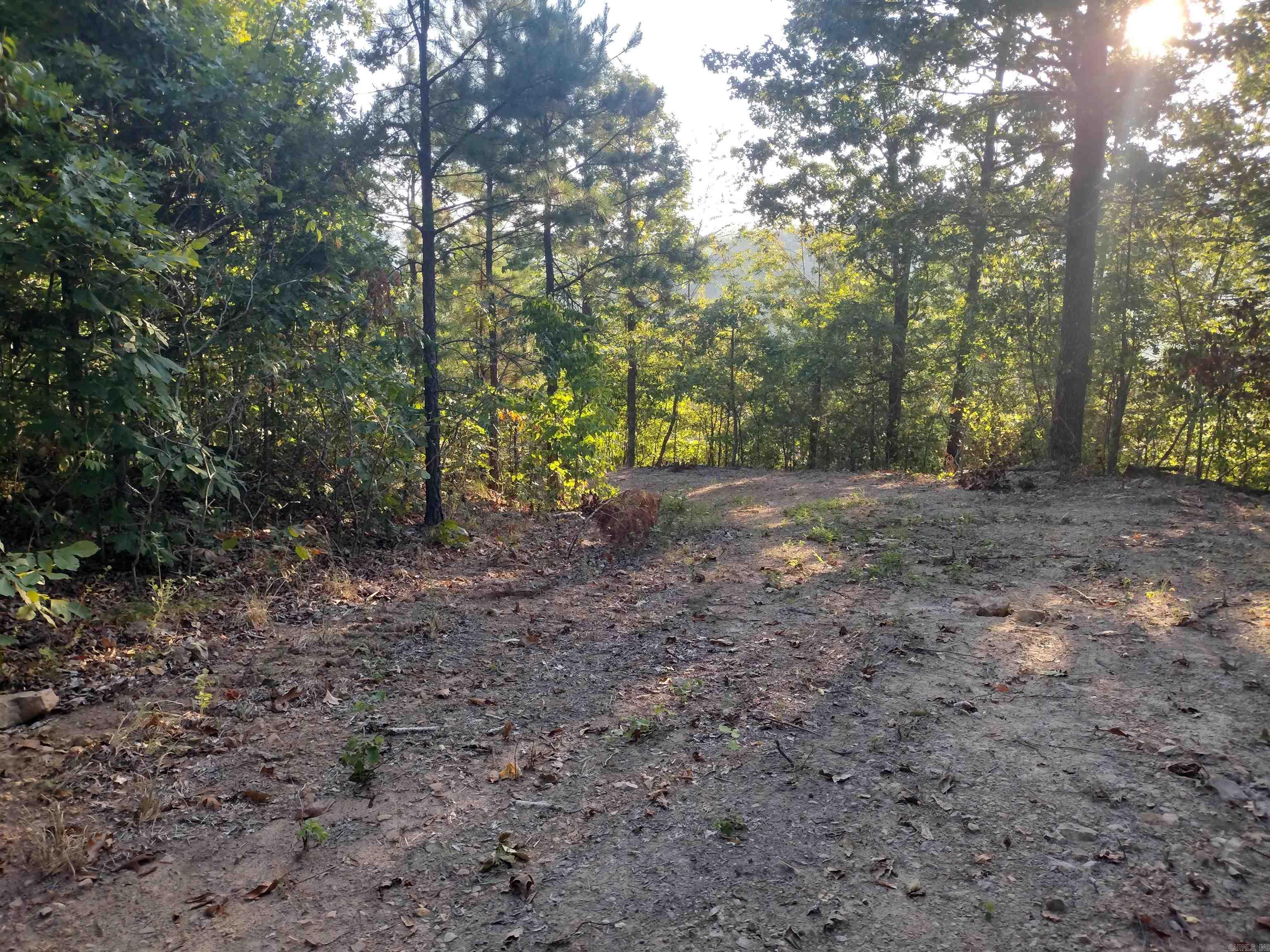 0 Hwy 9 S Property Photo 23