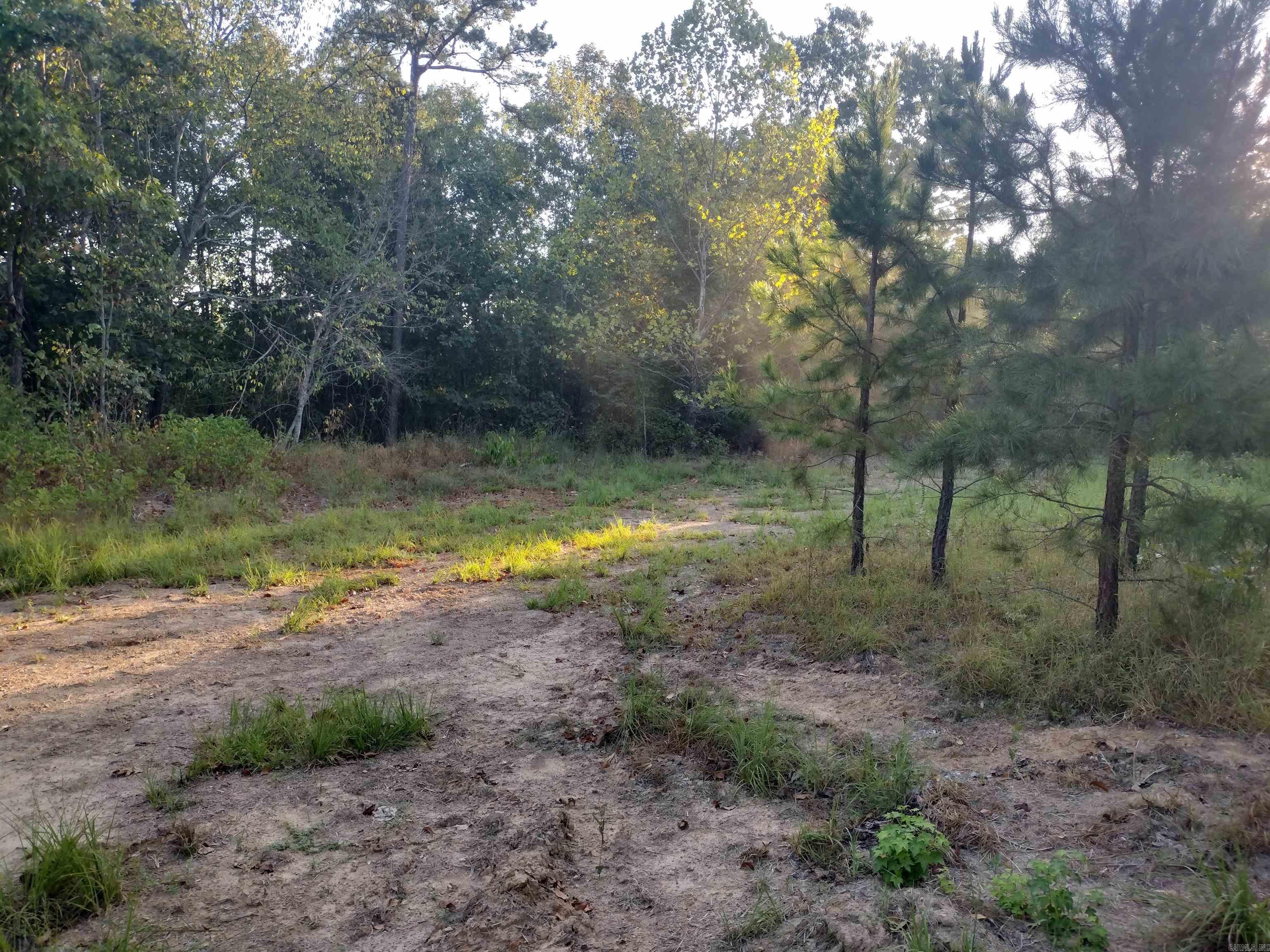 0 Hwy 9 S Property Photo 24