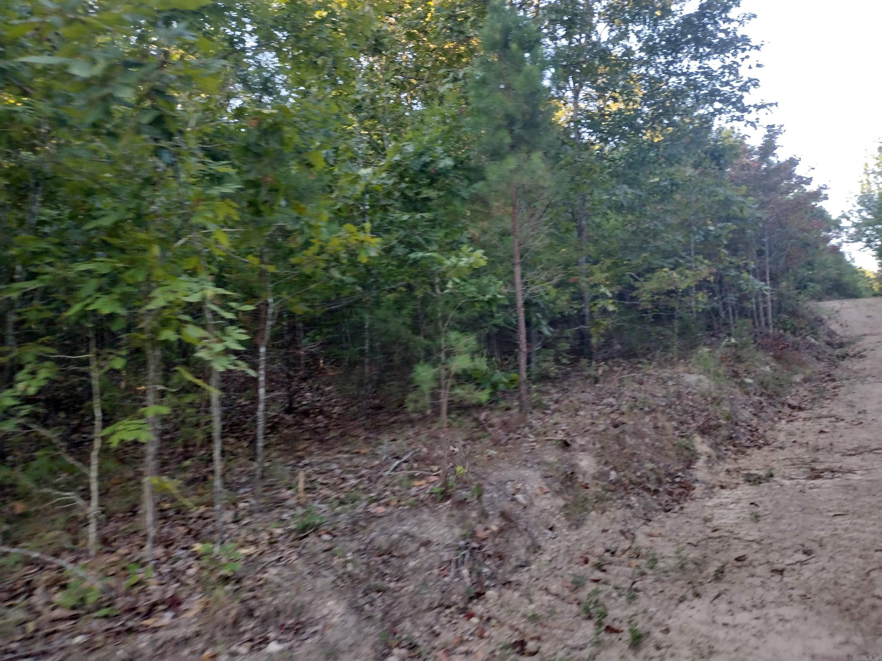 0 Hwy 9 S Property Photo 28