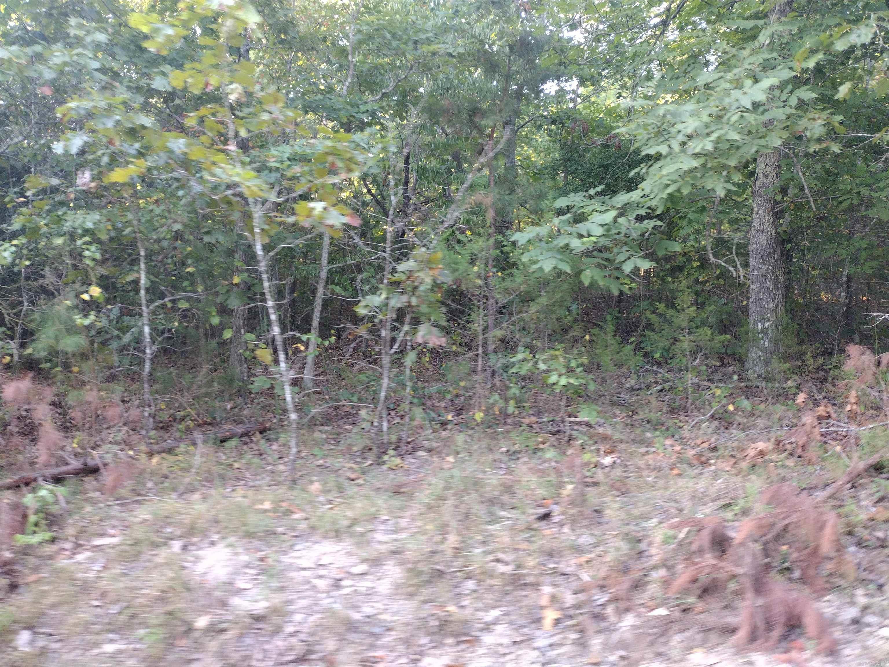 0 Hwy 9 S Property Photo 29