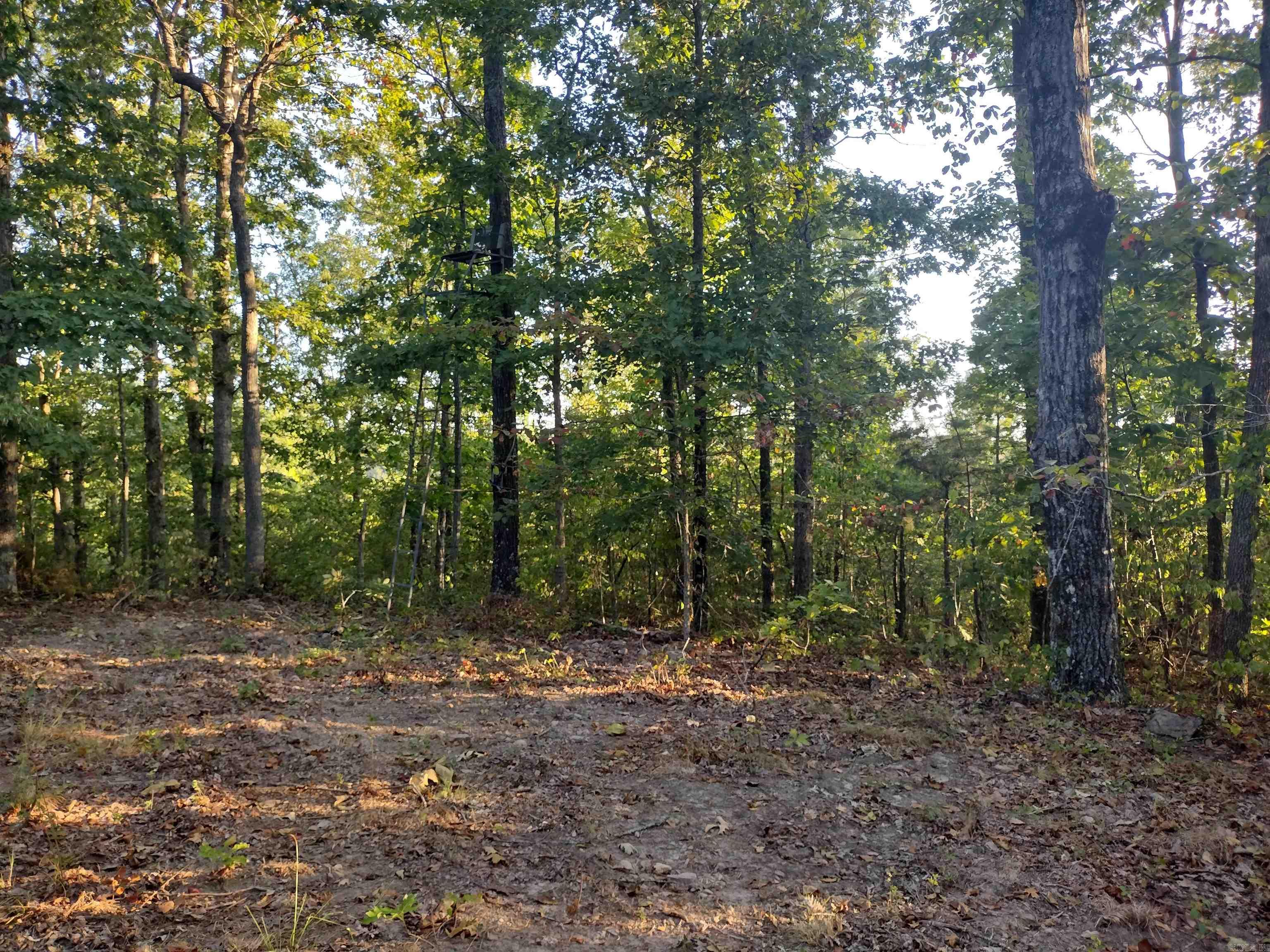 0 Hwy 9 S Property Photo 30