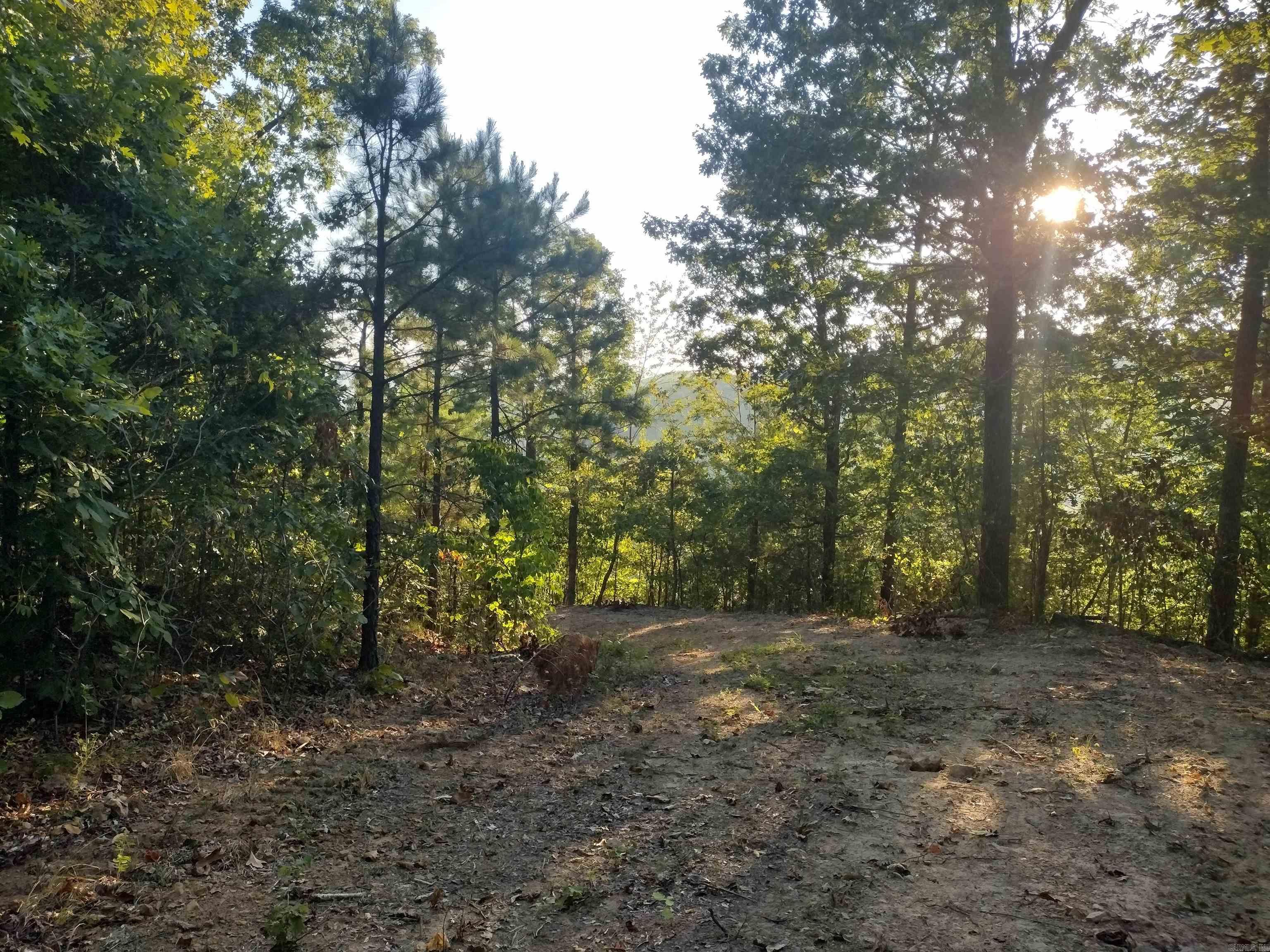 0 Hwy 9 S Property Photo 31
