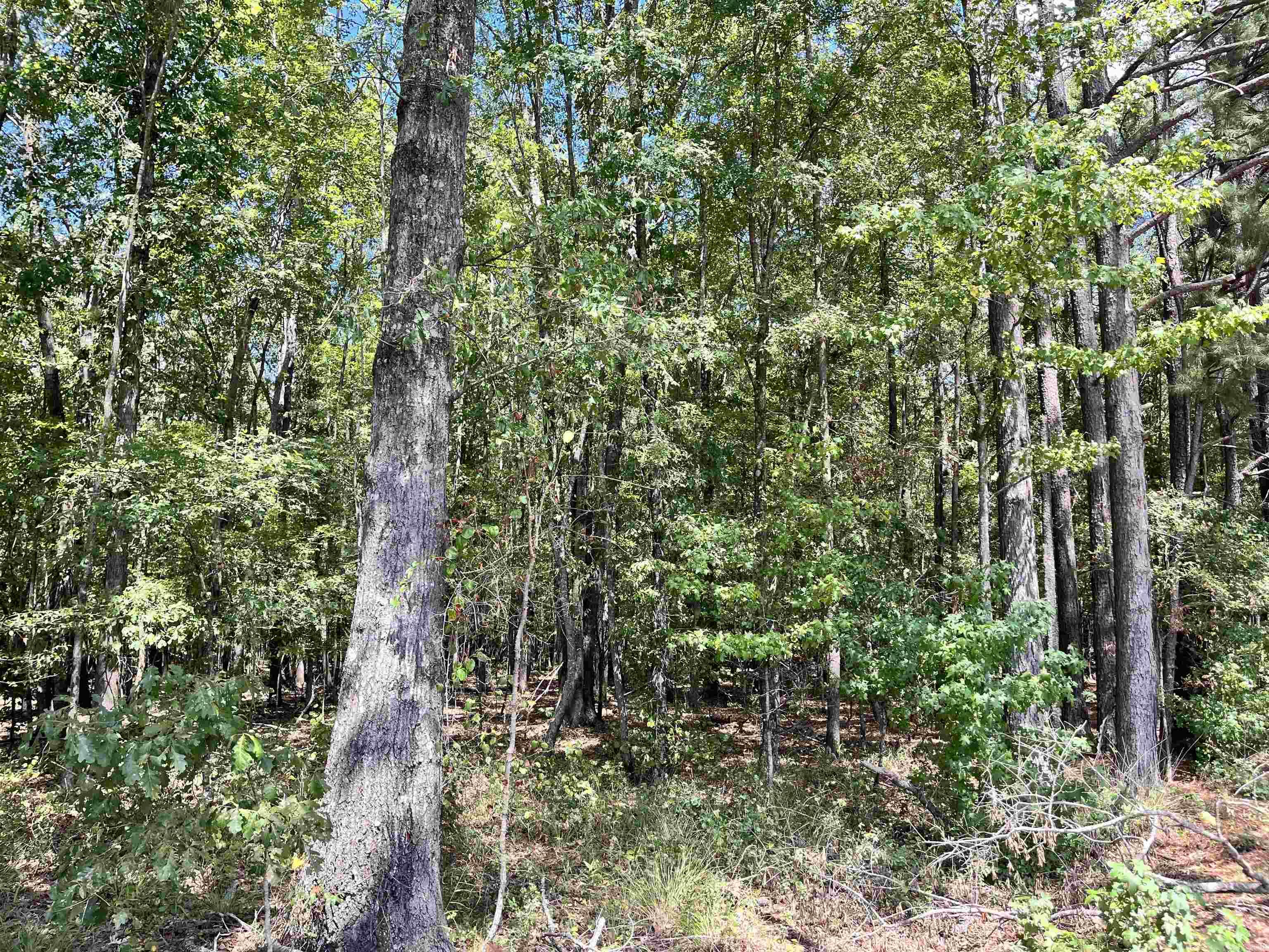 1209 Pine Drive Property Photo 1