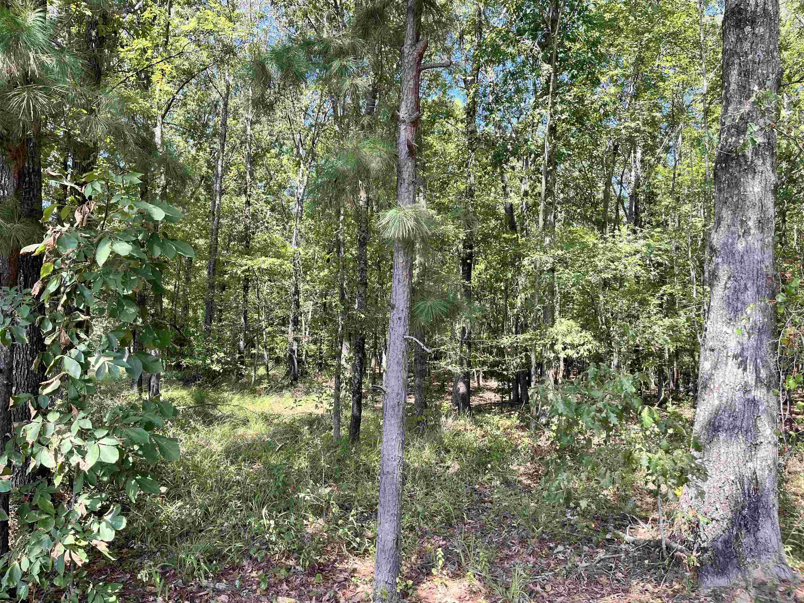 1209 Pine Drive Property Photo 2