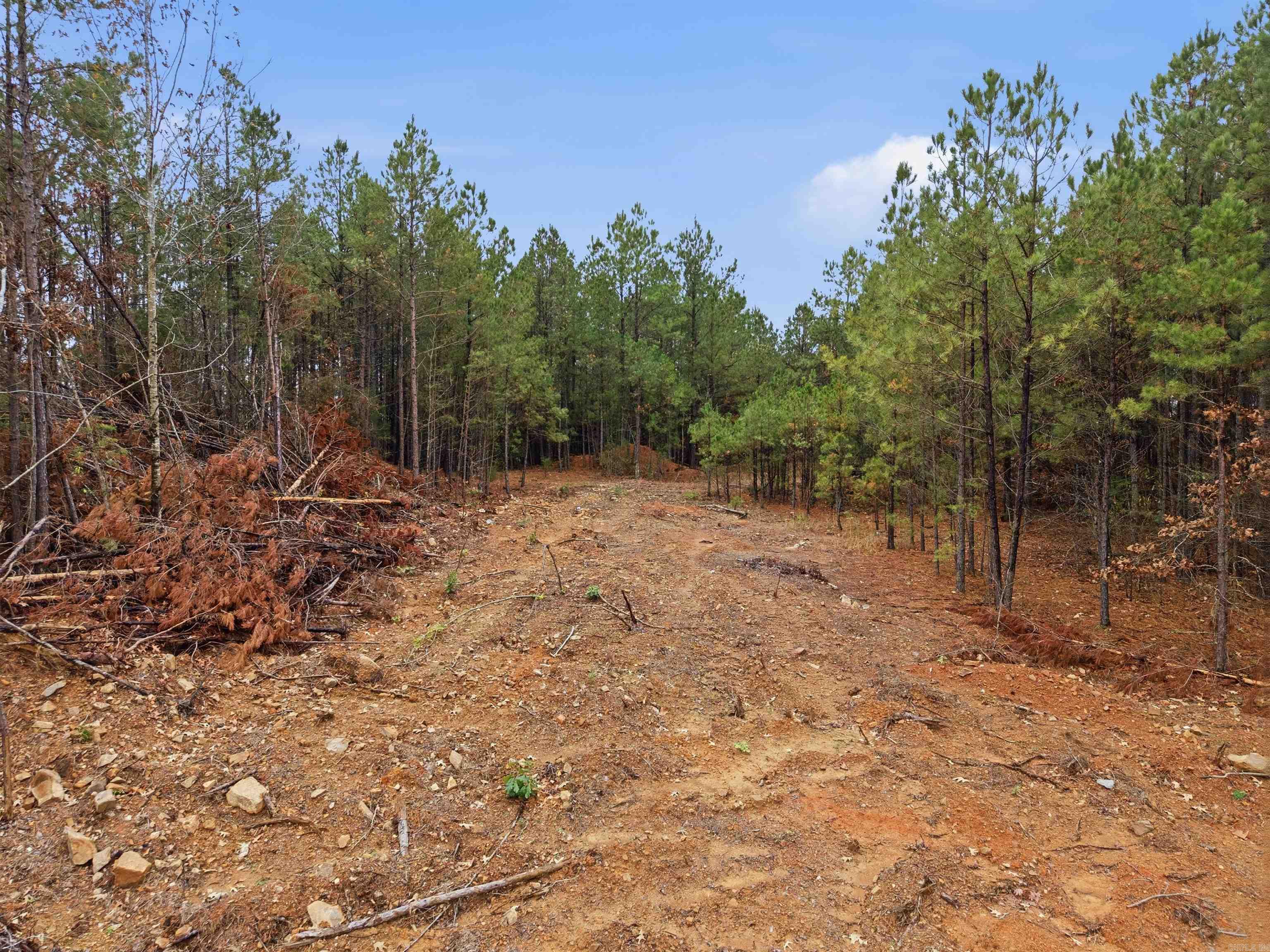 Tbd Macarthur Drive Property Photo 16