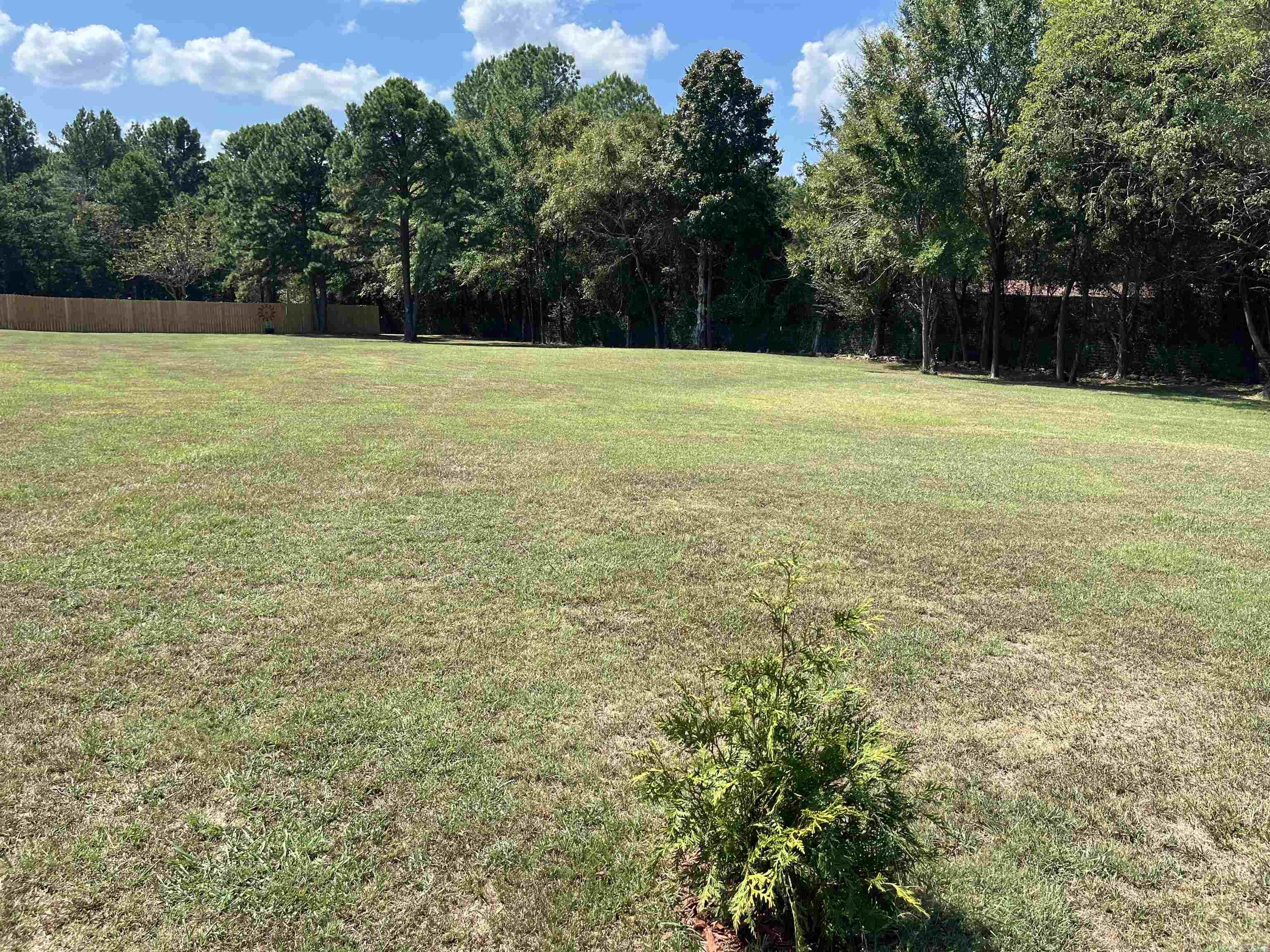 237 Glenn Road Property Photo 10